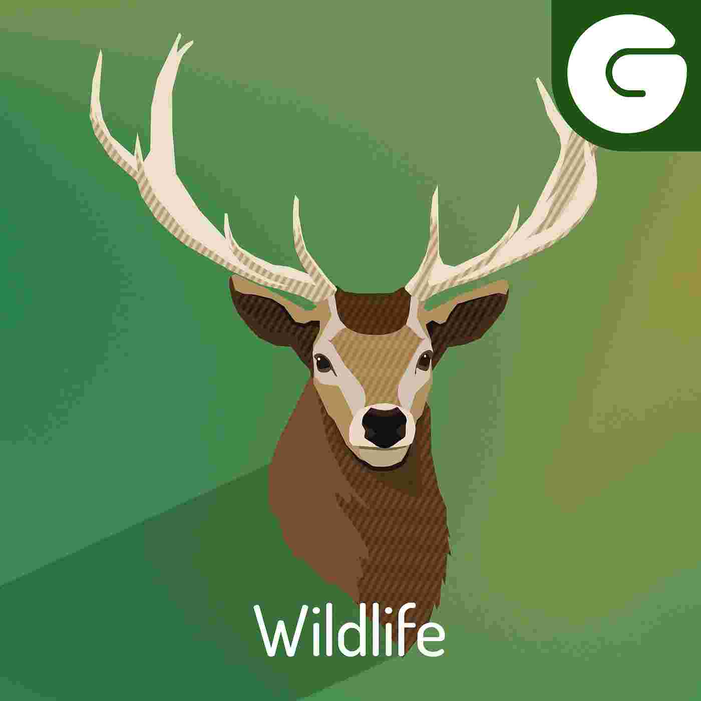 http://greentvpodcasts.blubrry.net/wp-content/uploads/powerpress/Artwork_Wildlife_v5.jpg