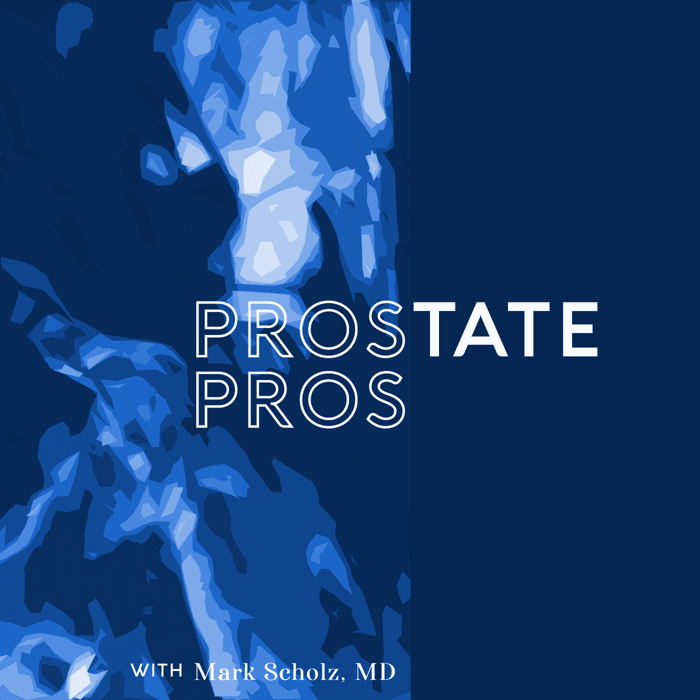 http://podcast.prostateoncology.com/wp-content/uploads/2019/04/PROSTATE-PROS.png