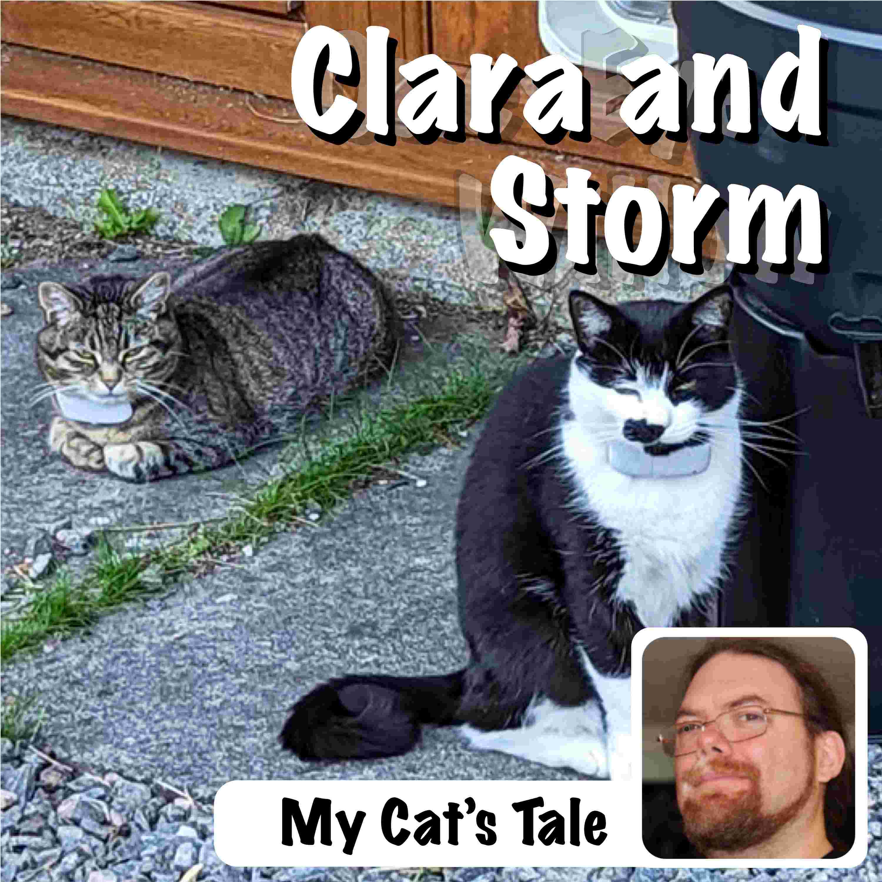 http://thepodcastcorner.com/wp-content/uploads/2022/10/Episode_Cover_v2_1500_Clara_and_Storm.jpg