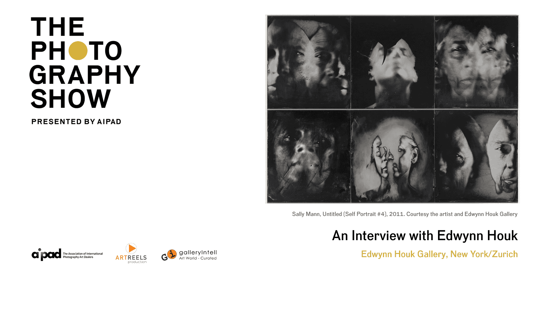 http://www.galleryintell.com/aipad2017/aipad2017_EdwynnHouk-video-interview.png
