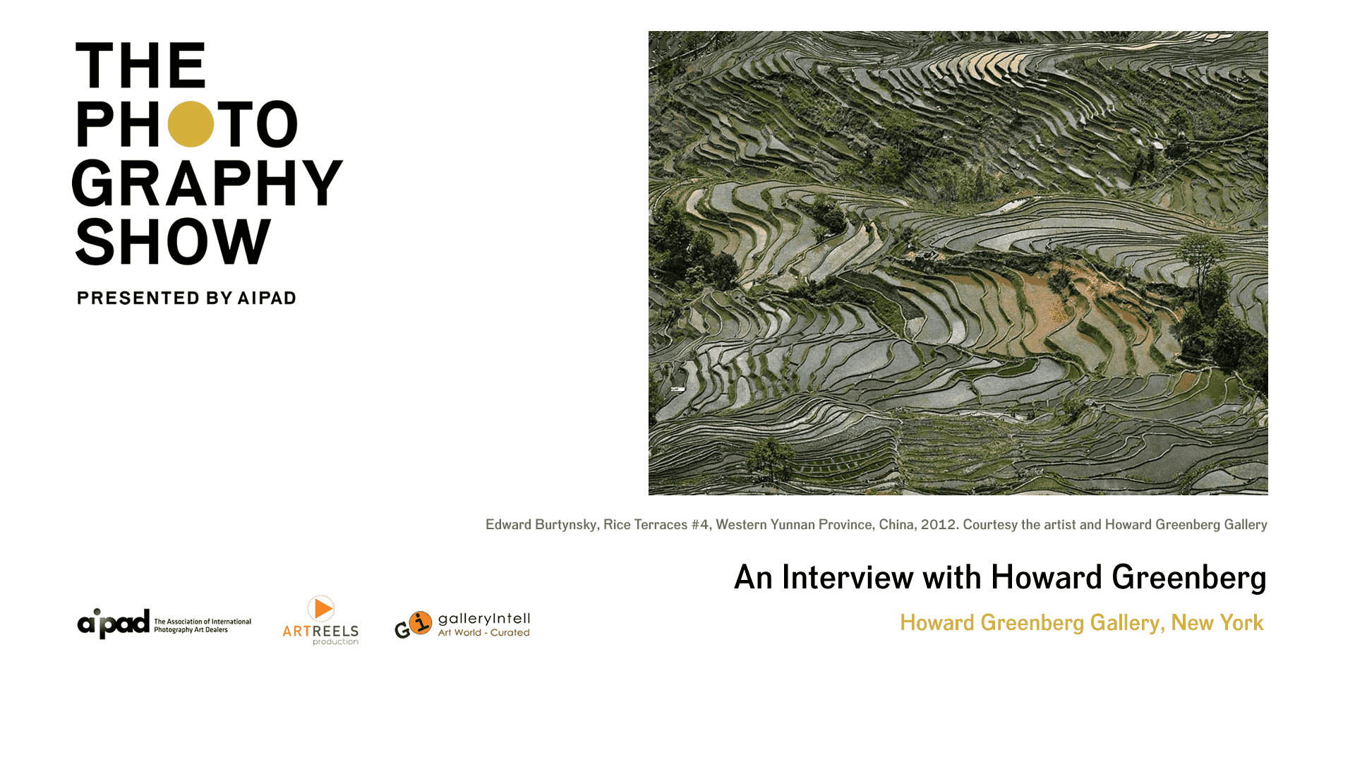 http://www.galleryintell.com/aipad2017/aipad2017_HowardGreenberg-video-interview.png