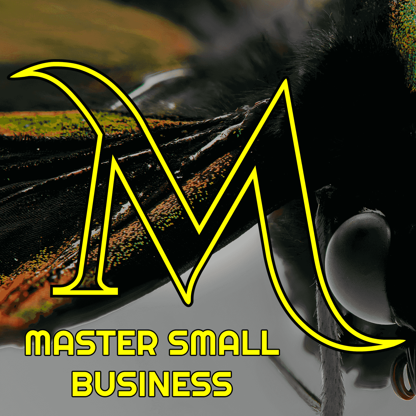 http://www.mentalistmedia.com/feed/Master-Small-Business.png