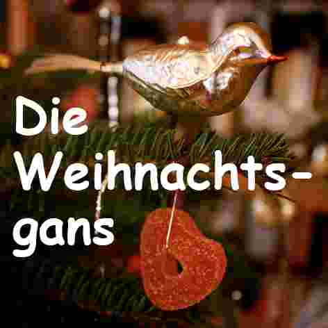 https://8wnode.podcaster.de/Weihnachten-erzaehlen/logos/Die_Weihnachtsgans.jpg