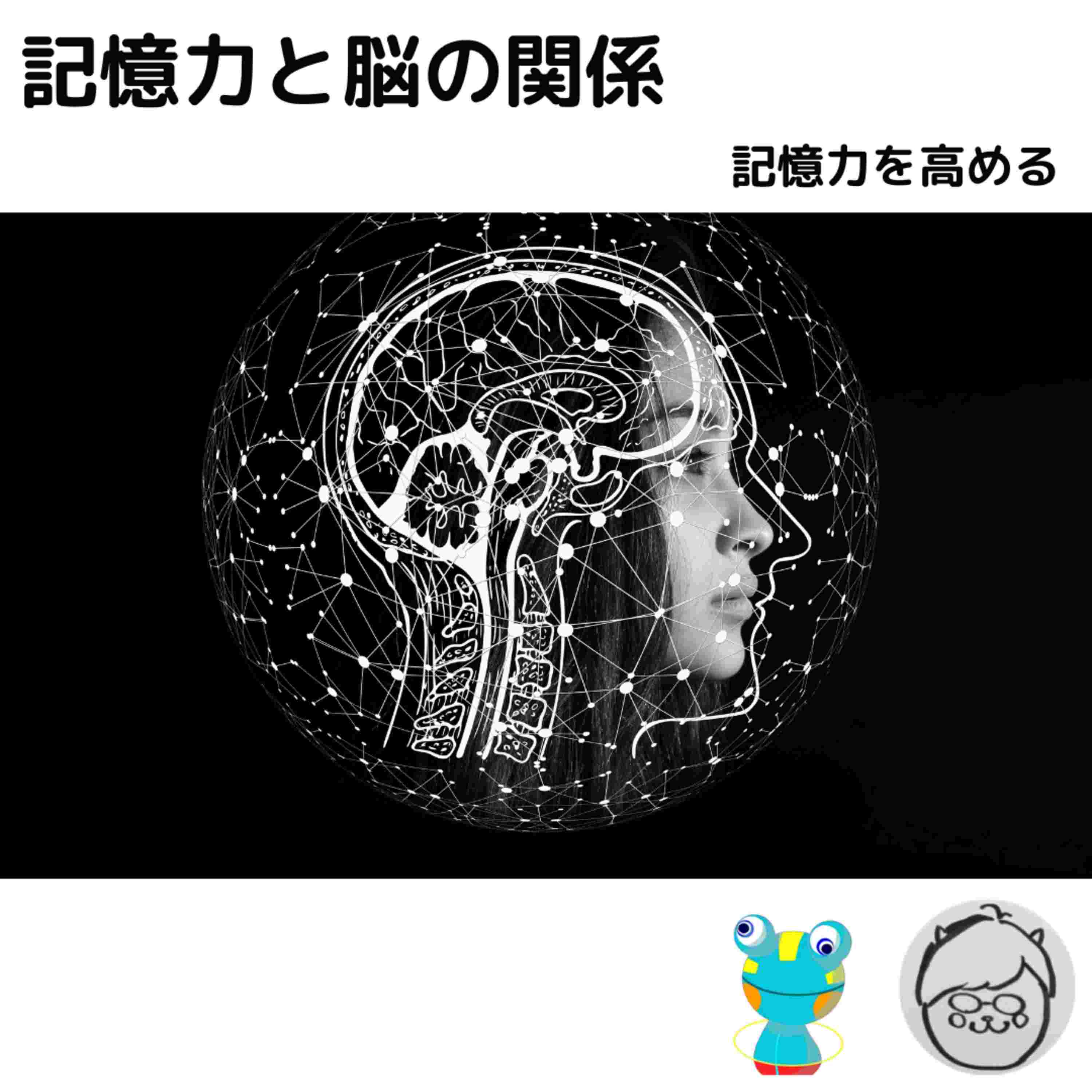 https://api.robotstart.jp/storage/12885/pQQ2kKemErNQ4ckp1jZspB4kiANbzPiTWjTUmtbz.jpeg