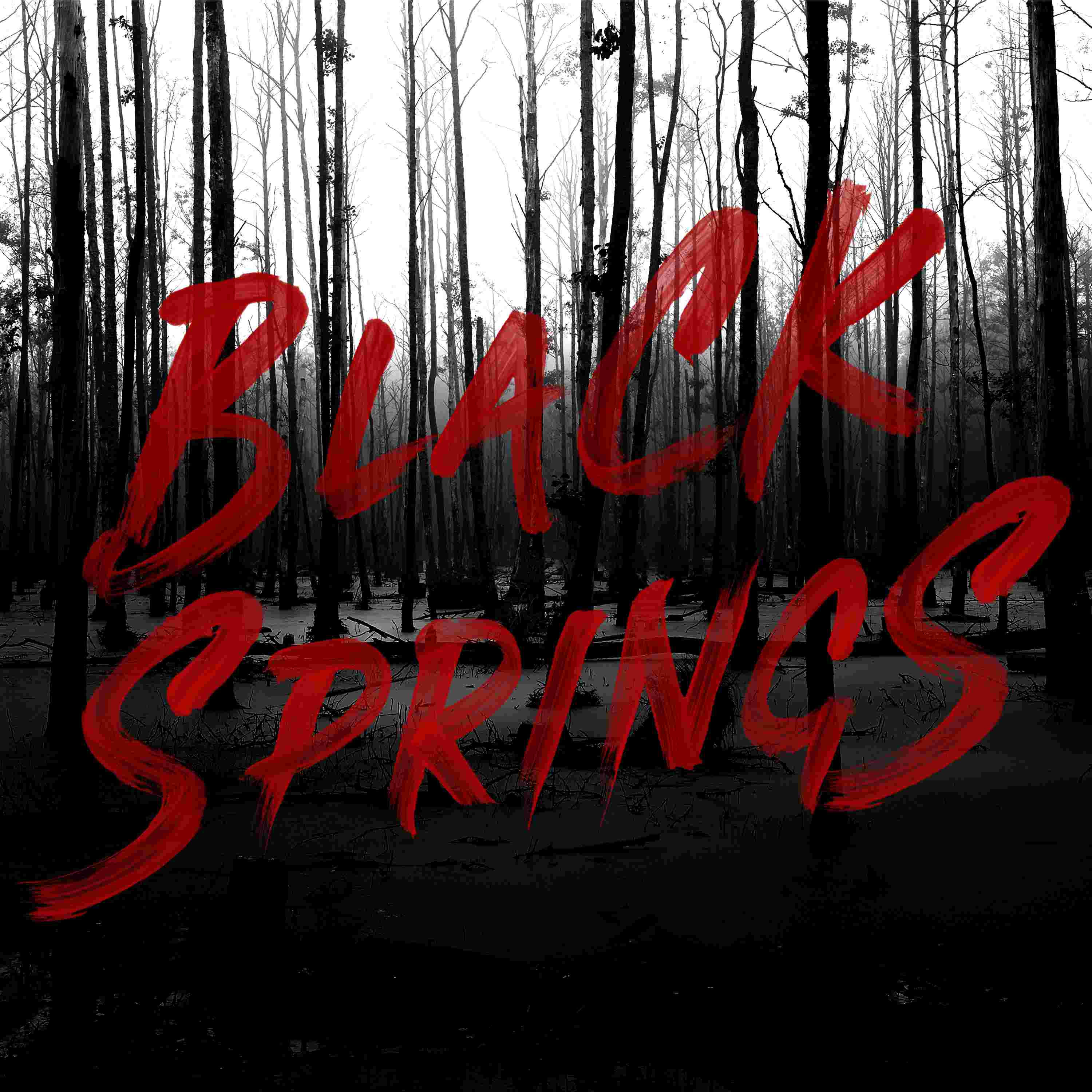 https://archive.org/download/black-springs-podcast-logo/Black%20Springs%20Podcast%20Logo.jpg