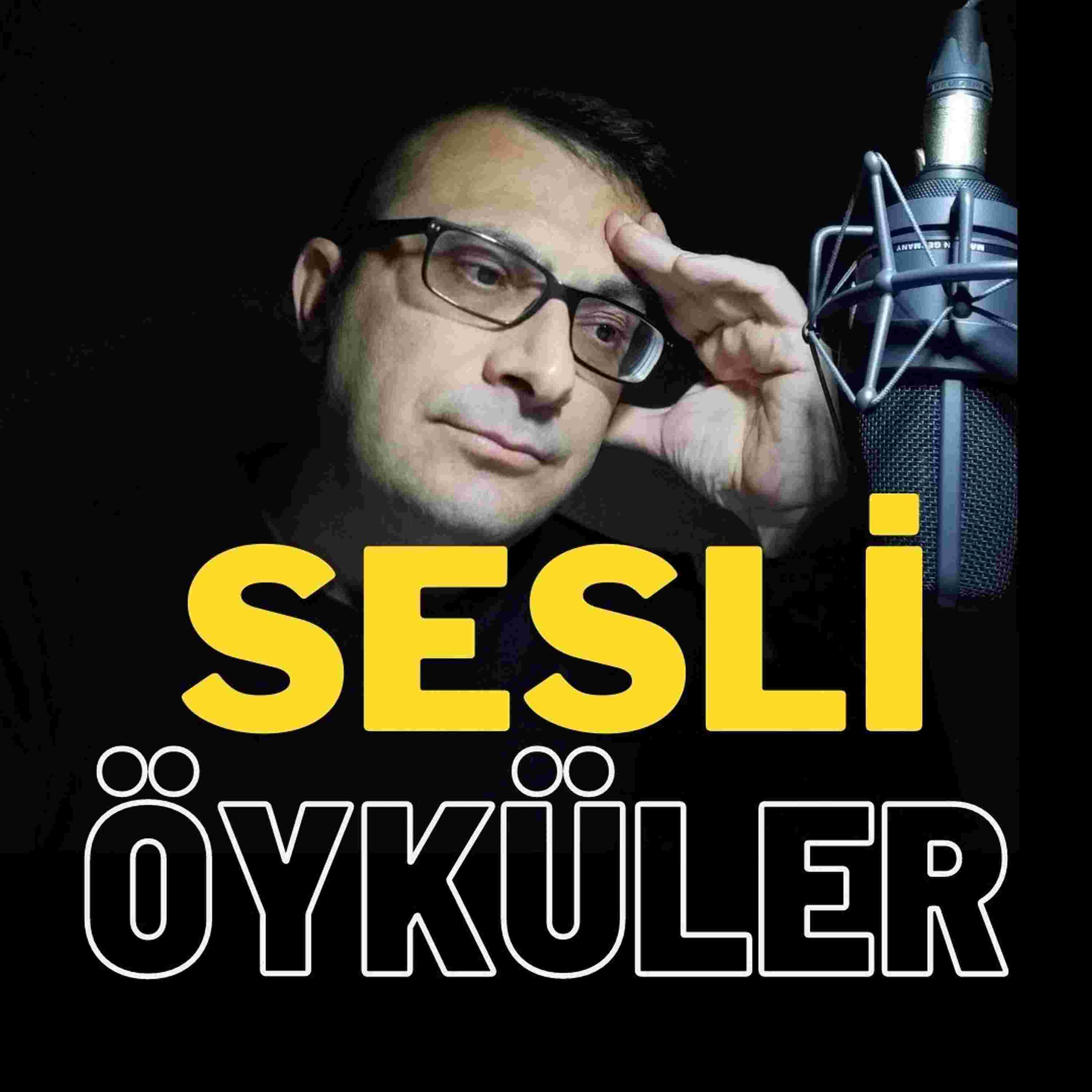 https://archive.org/download/sesvekitap/seslioykuler.jpg