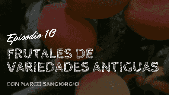 https://arribaelverde.com/wp-content/uploads/2021/06/Frutales-Variedades-Antiguas.png