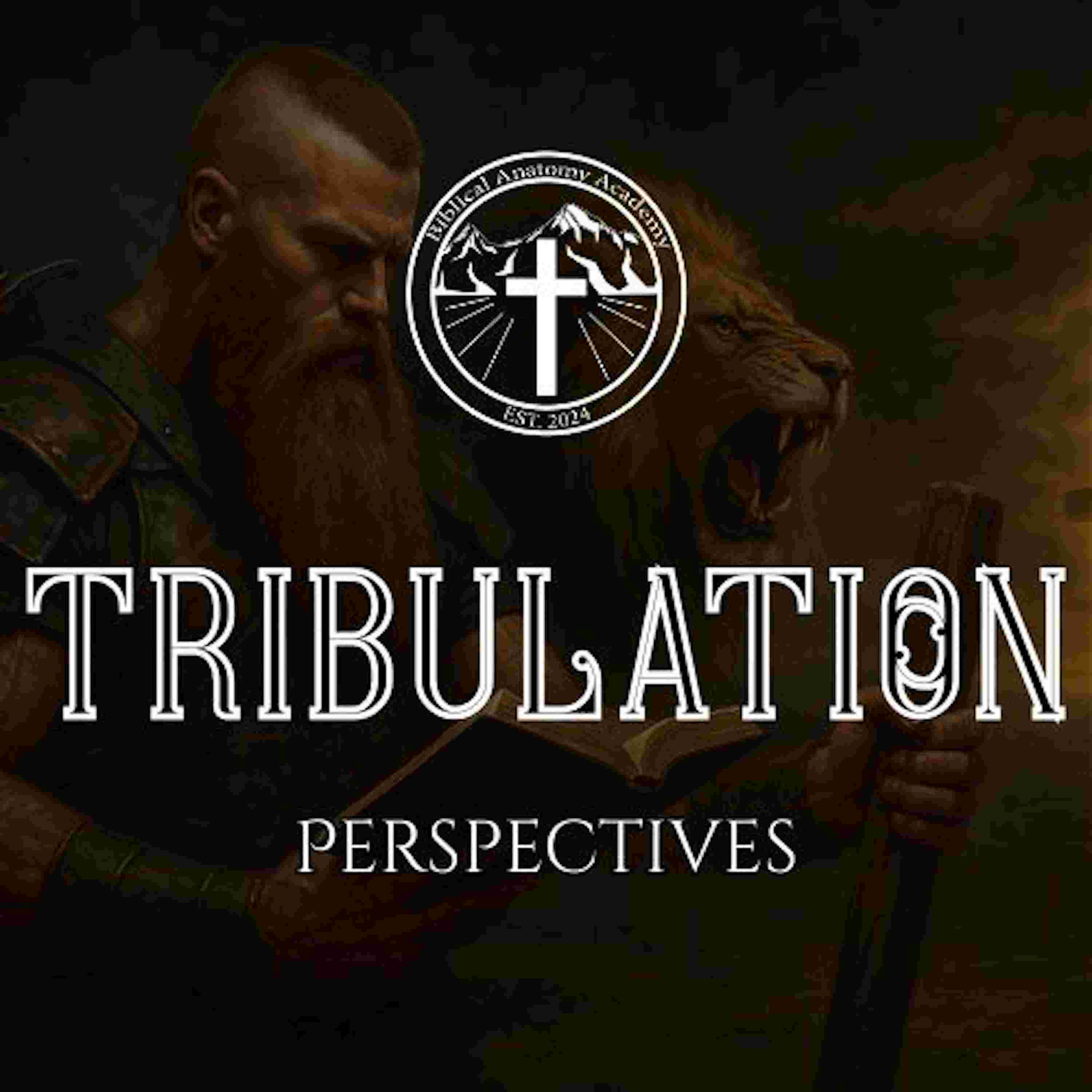 https://artwork.captivate.fm/2ab21aaa-1c3f-4911-827e-456750470e50/Tribulation-Perspectives.jpg