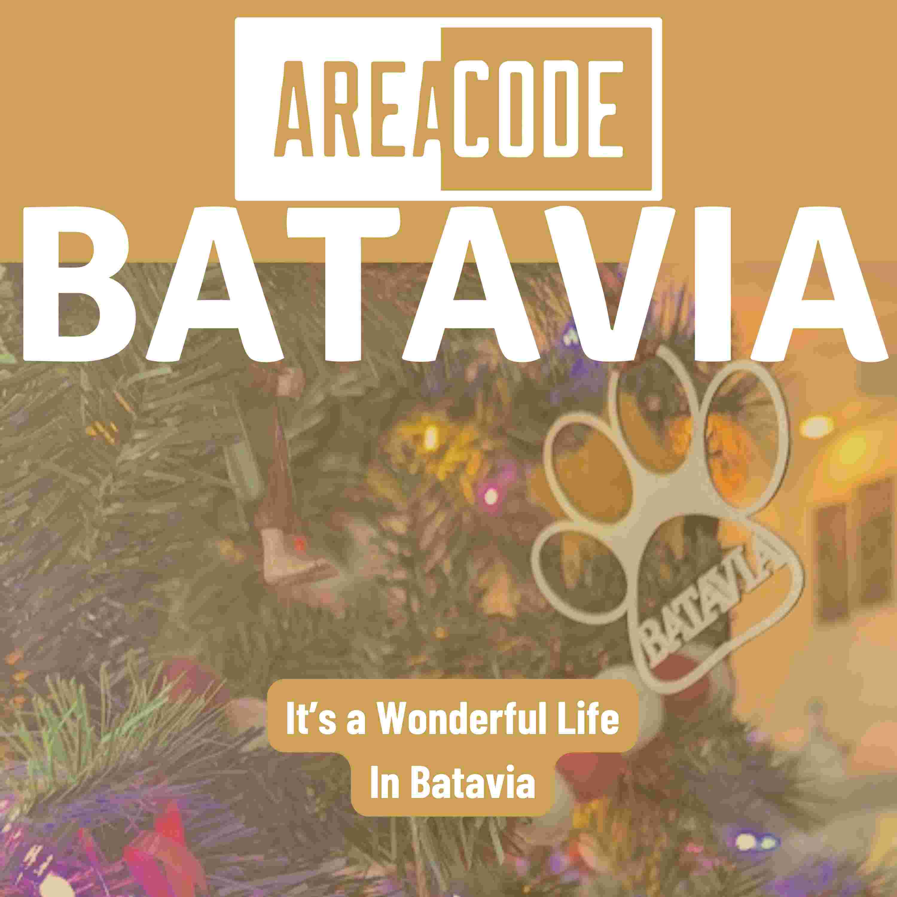 https://artwork.captivate.fm/6f092d68-4781-4771-954a-cc781278d9b4/Area-Code-Batavia-Podcast-4.jpeg