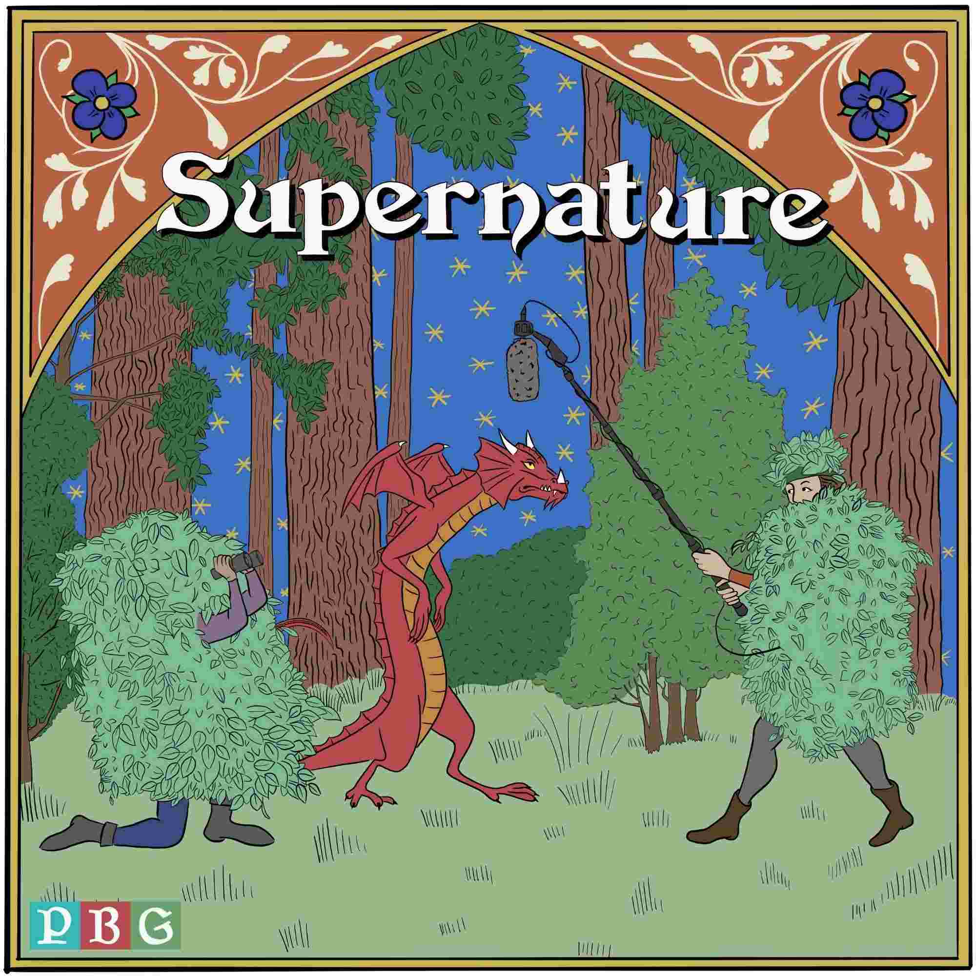 https://artwork.captivate.fm/815838f6-abfa-4e4e-a180-f23ab55e857c/Supernature-Cover-Art.jpg
