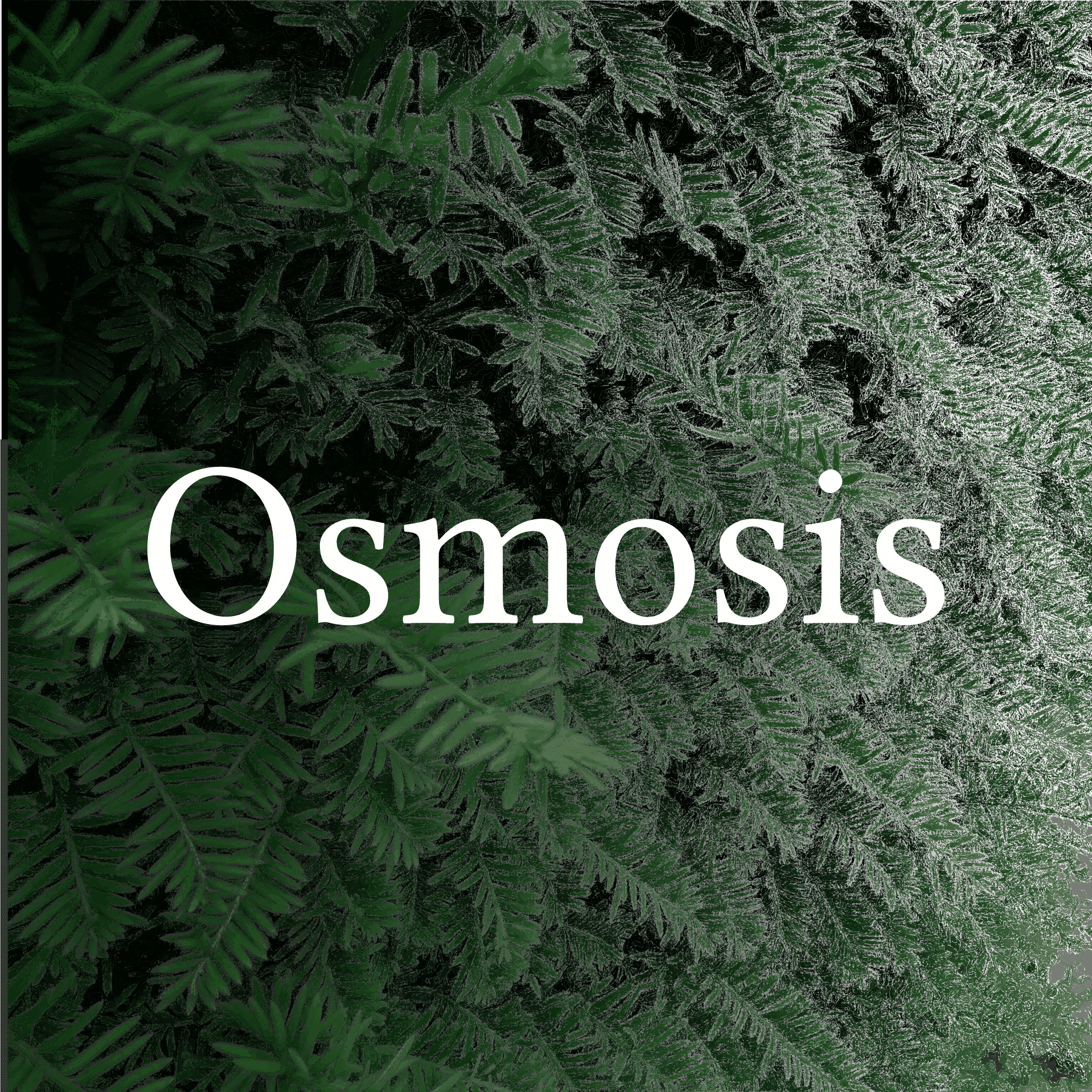 https://assets.osmosiscast.com/static-assets/osmosis-logo-square.png
