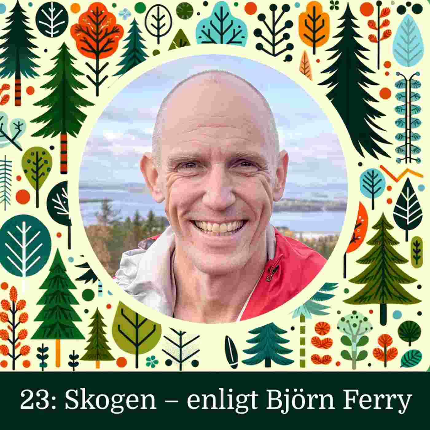https://assets.pod.space/system/episodes/images/10d/59f/0d-/large/Omslag_23_Bjo%CC%88rn_Ferry.jpg