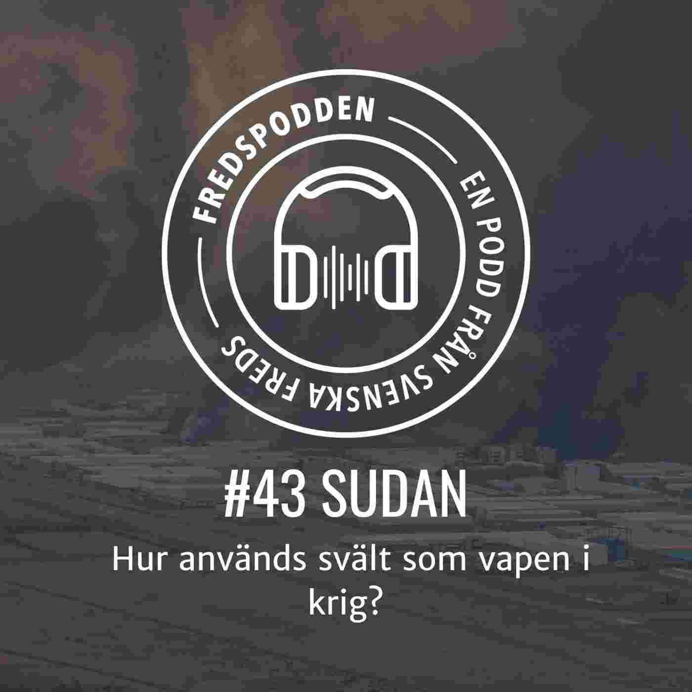 https://assets.pod.space/system/episodes/images/c80/159/b6-/large/43_Sudan.jpg