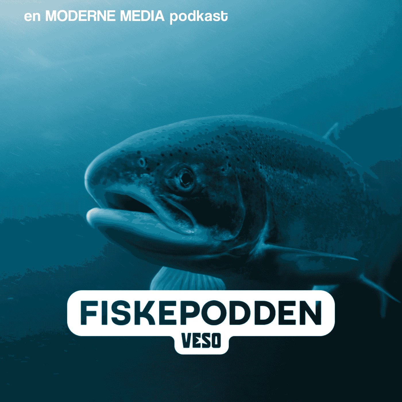 https://assets.pod.space/system/shows/images/7ce/d7c/51-/large/Fiskepodden_Cover_Ny_MM.png