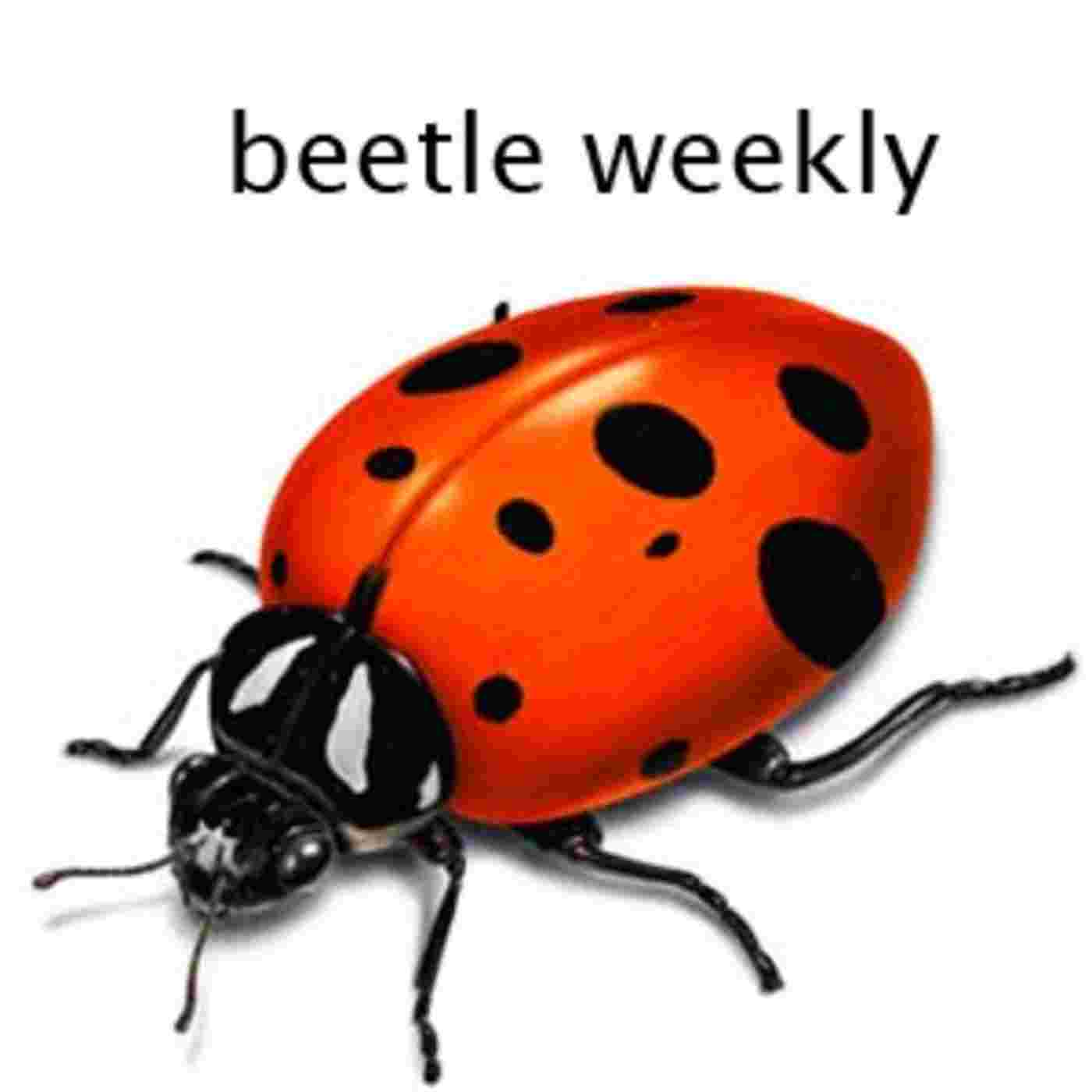 https://assets.podomatic.net/ts/4f/5c/df/beetle433/1400x1400_644129.jpg