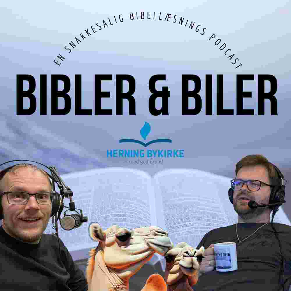 https://biblerogbiler.dk/wp-content/uploads/2025/06/Bibler-og-biler-7-1.jpeg
