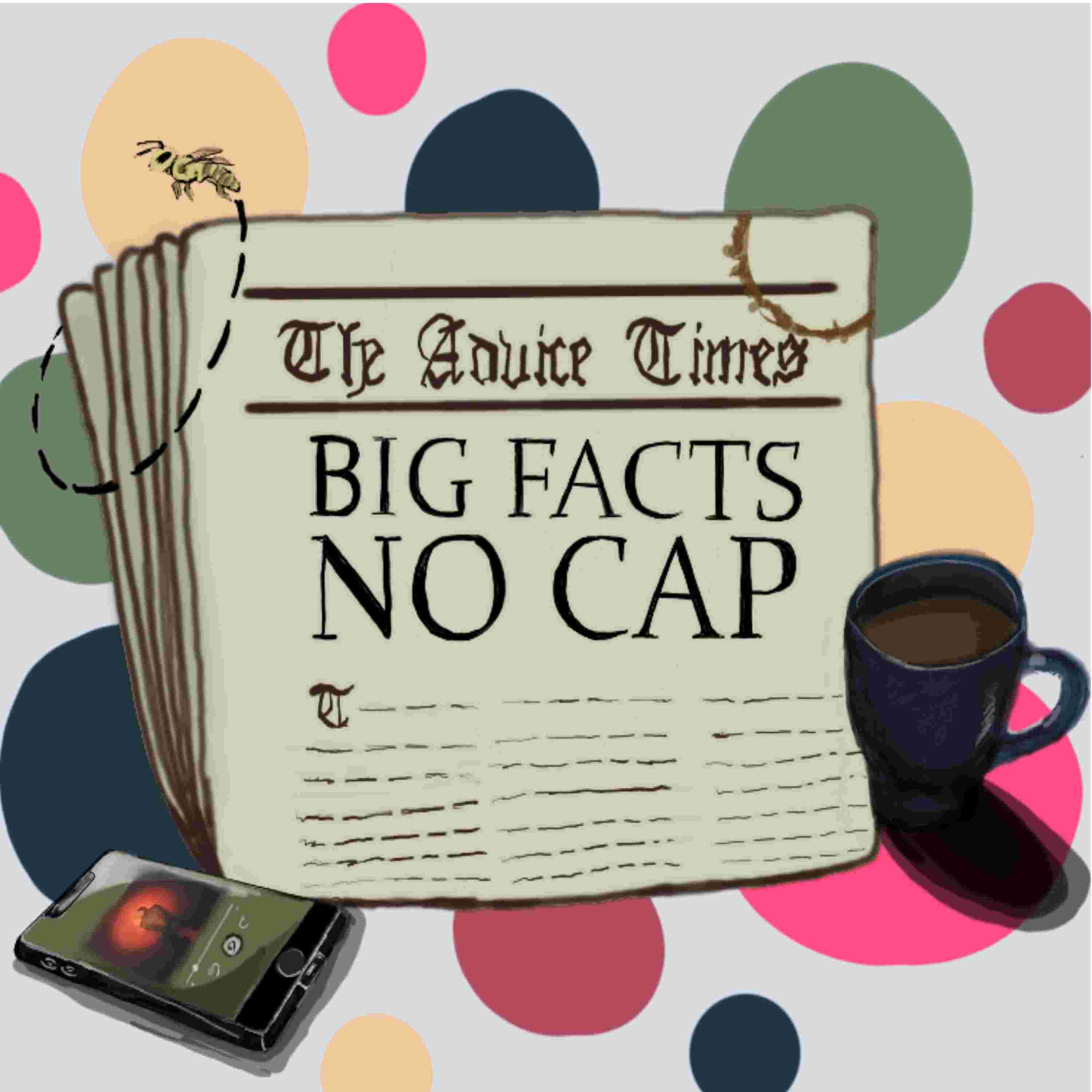 https://bigfactsnocap.co/assets/final-cover-2.jpg