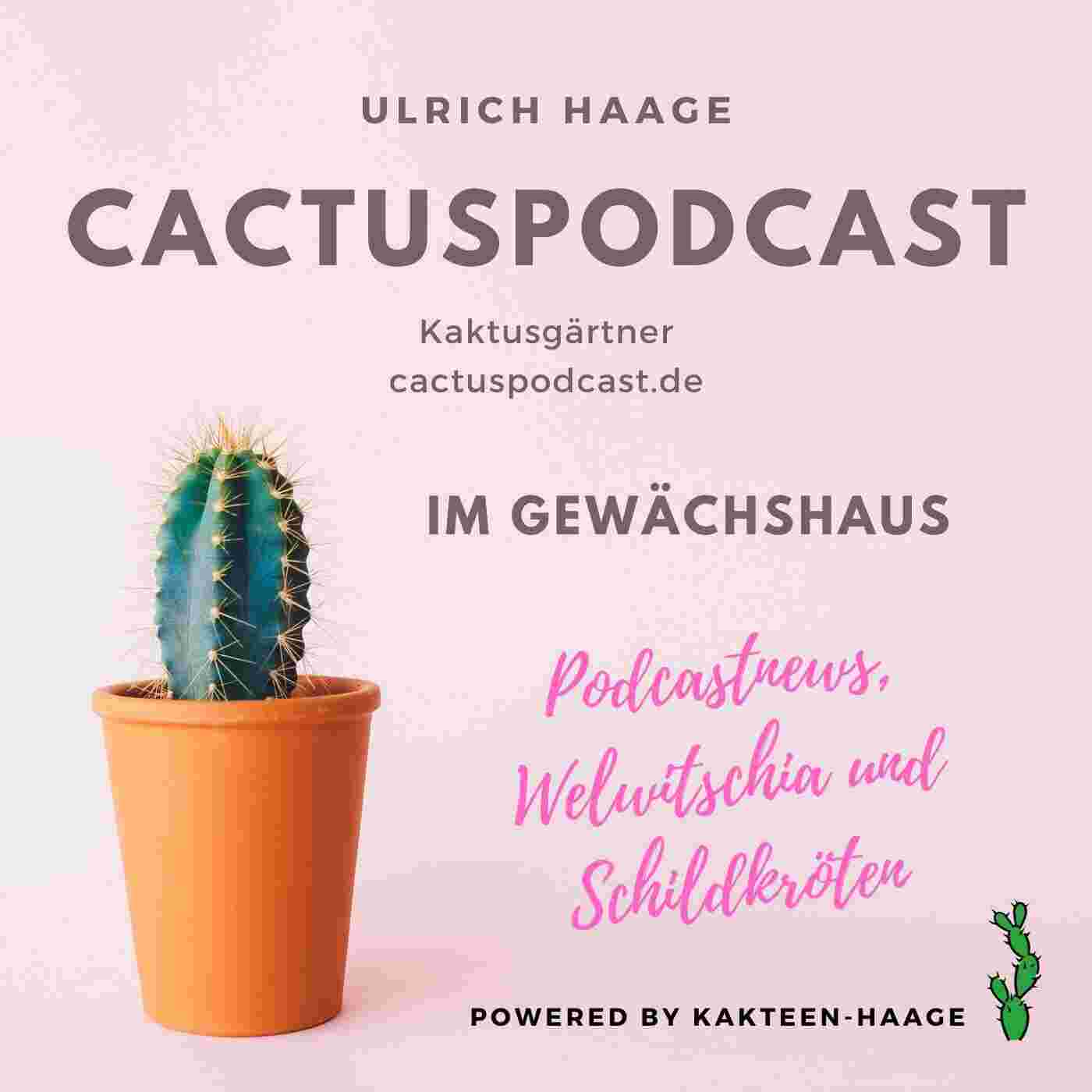 https://cactusblog.de/wp-content/uploads/2025/07/CactusPodcast-CP043-Im-Gewaechshaus.jpg