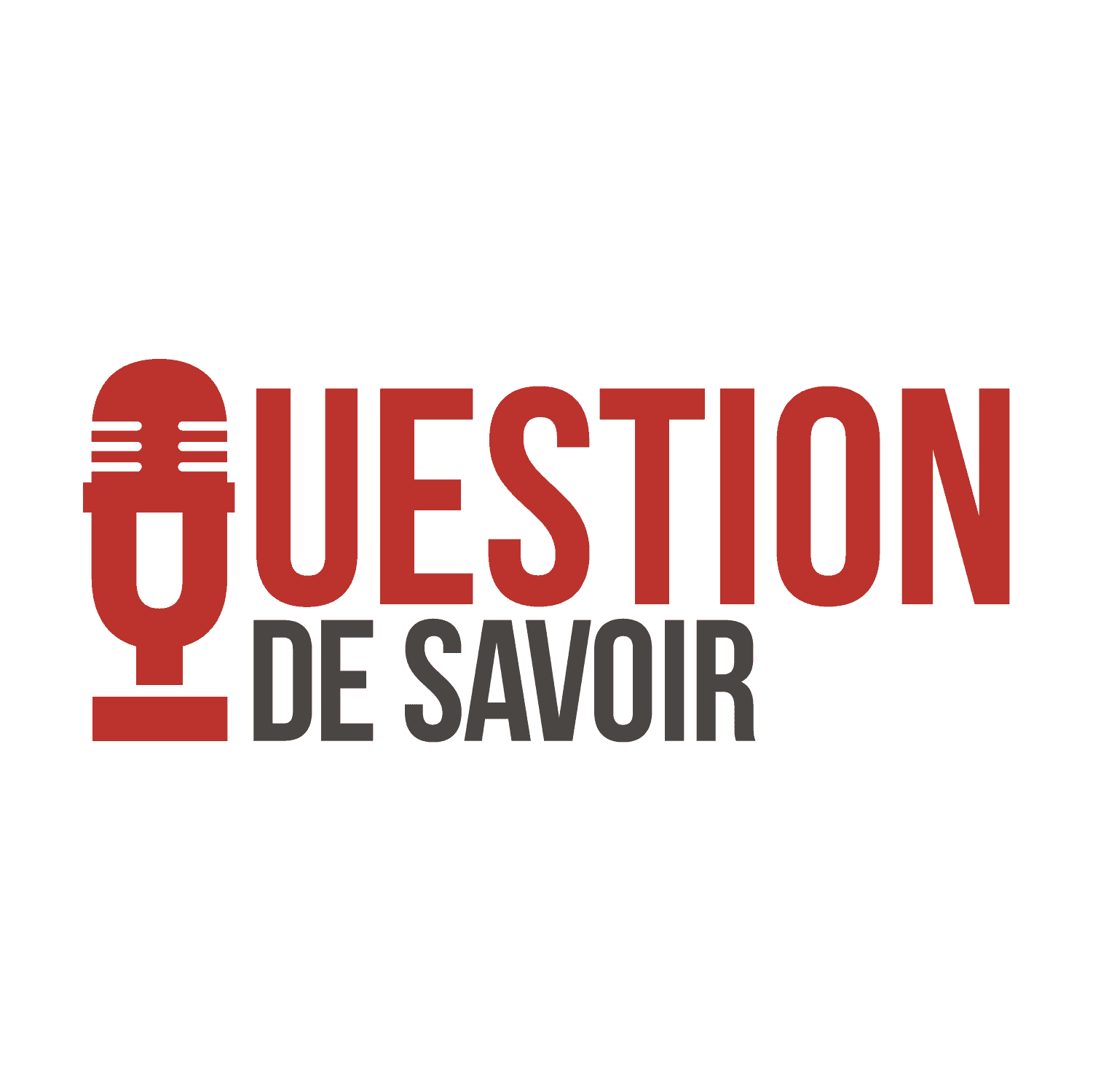 https://cdn01.baladoquebec.ca/images/1671/questionsavoir.png