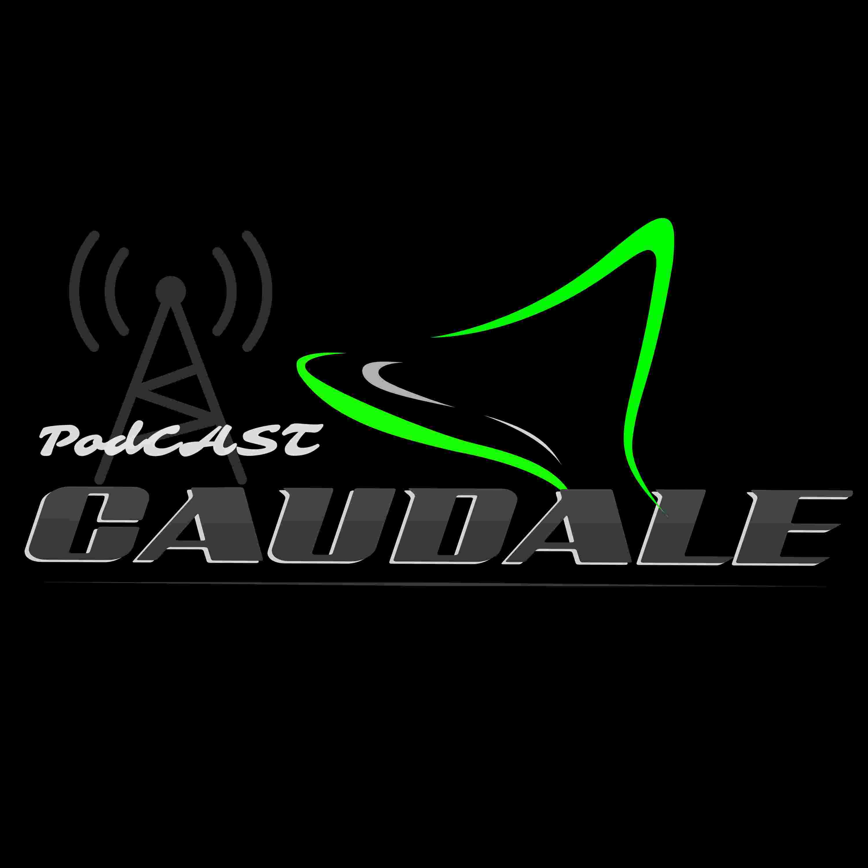 https://cdn01.baladoquebec.ca/images/2708/logo-podcast-black-final-centr%C3%A9.jpg