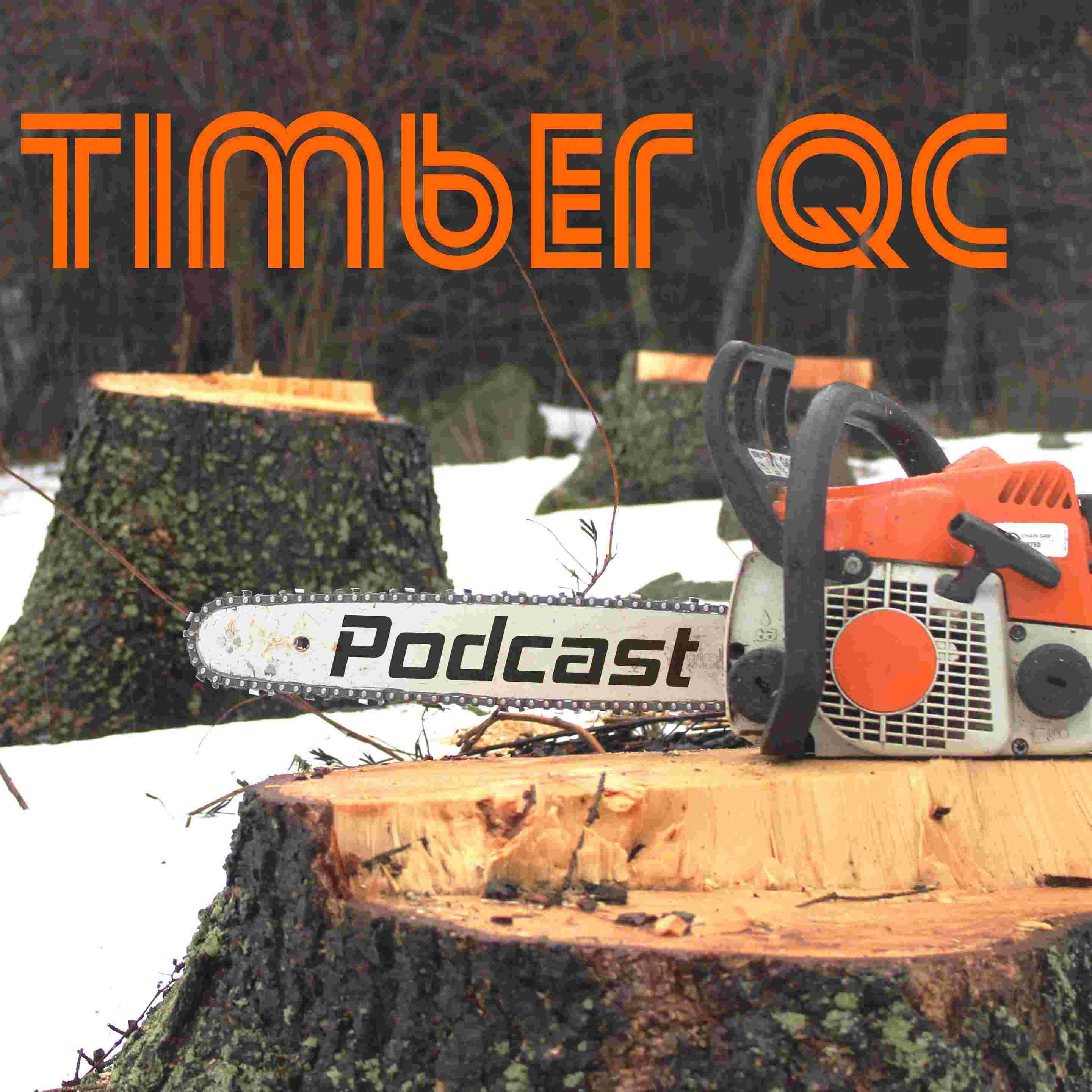 https://cdn01.baladoquebec.ca/images/3440/timberqcpodcastlogosquare.jpg