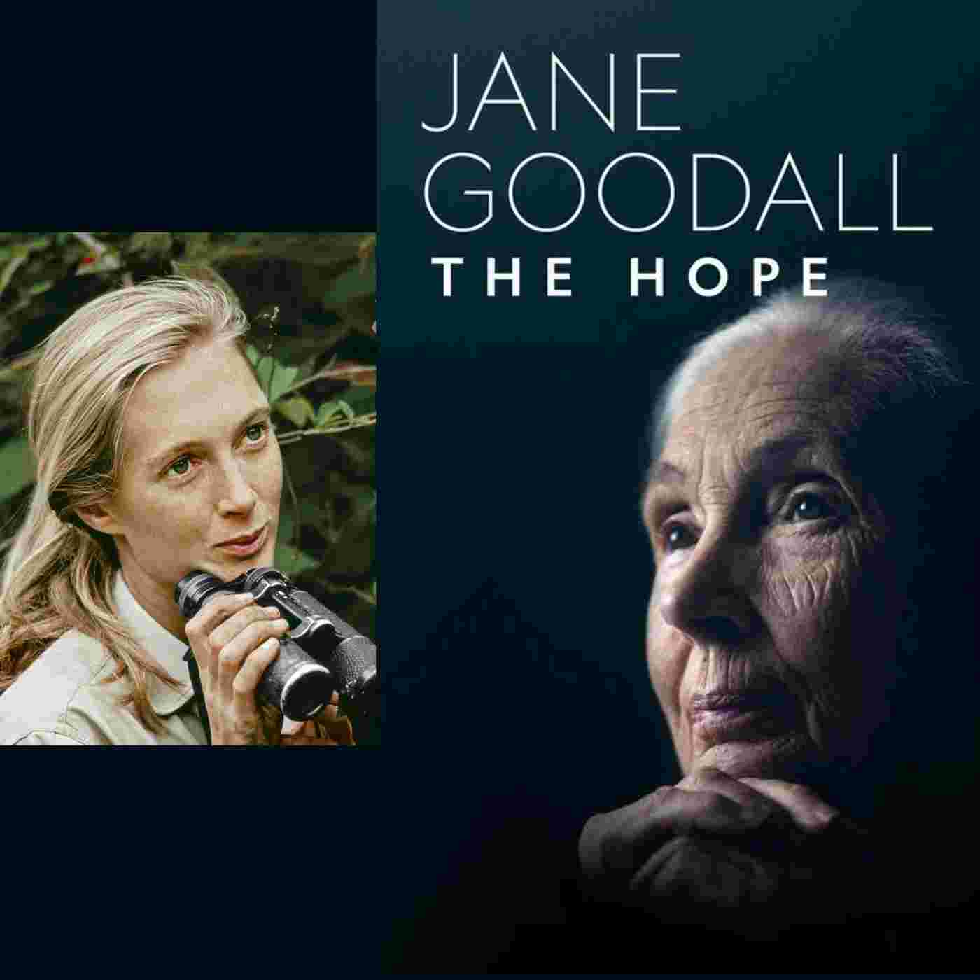 https://cdn2.wavpub.com/hosting.wavpub.cn/wp-content/uploads/sites/27/2024/03/Jane-Goodall.jpeg