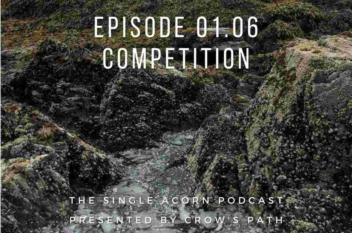https://crowspath.org/wp-content/uploads/Episode-01.06-Competition-2.jpg