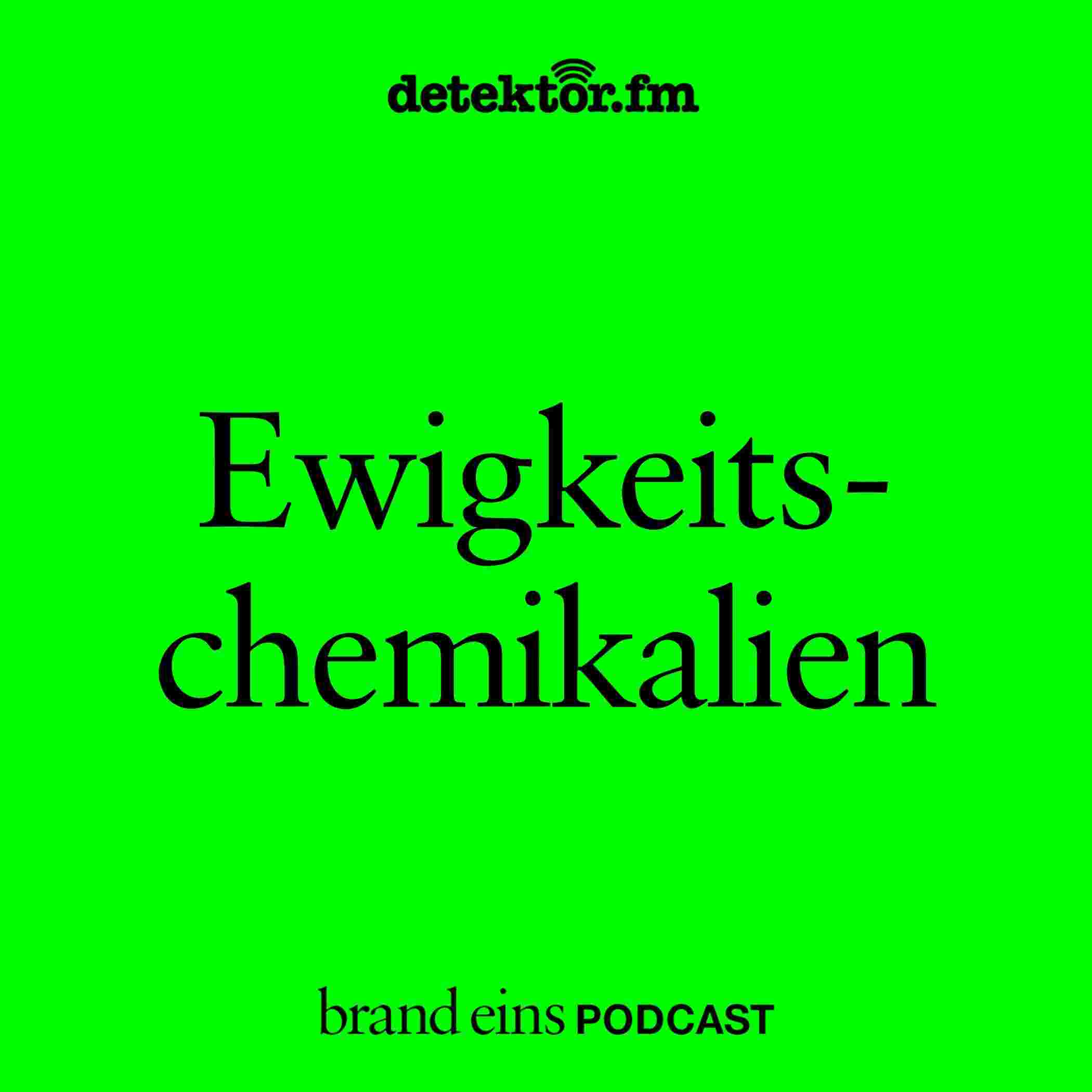 https://detektor.fm/wp-content/uploads/2025/11/brand-eins-podcastcoverferdinandsomorowsky.jpg