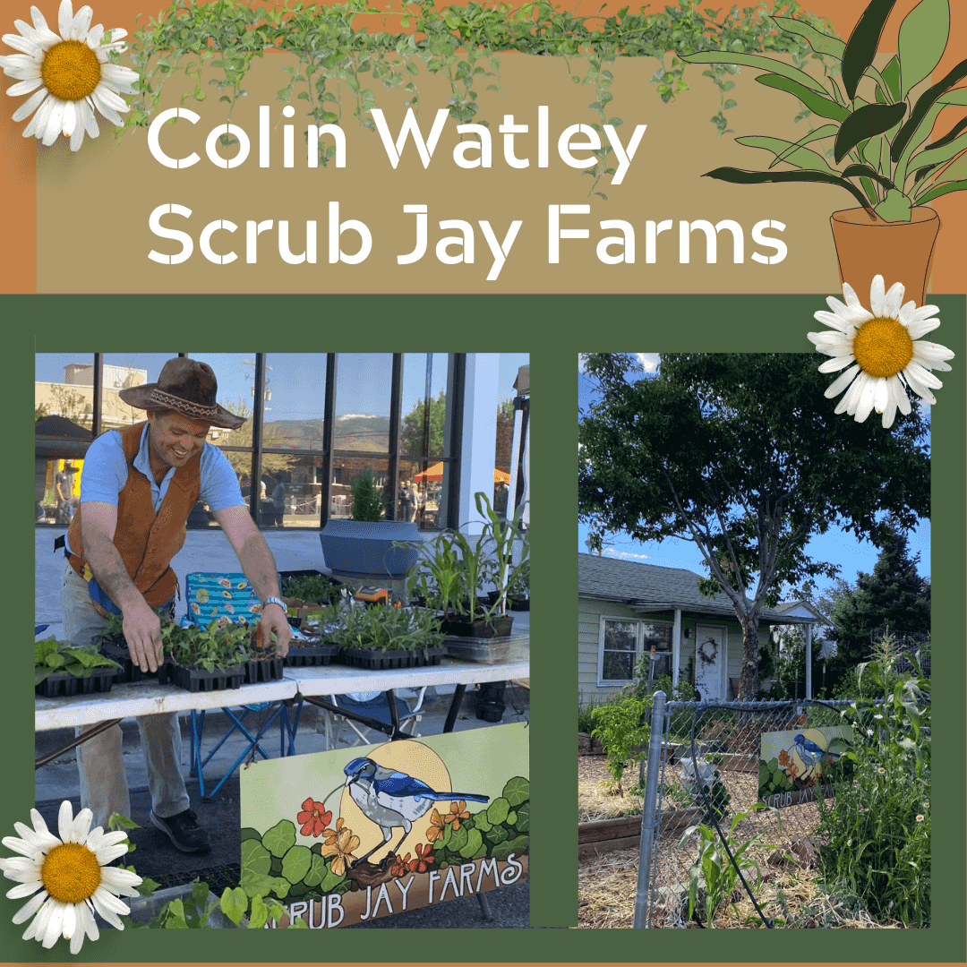 https://episodes.castos.com/5e94938938ec70-86540398/images/1204993/Coln-Watley-Scrub-Jay-Farm.png