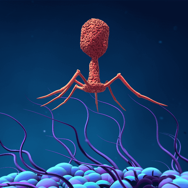 https://episodes.castos.com/64595ad3c57673-63374535/images/1480041/phage.png