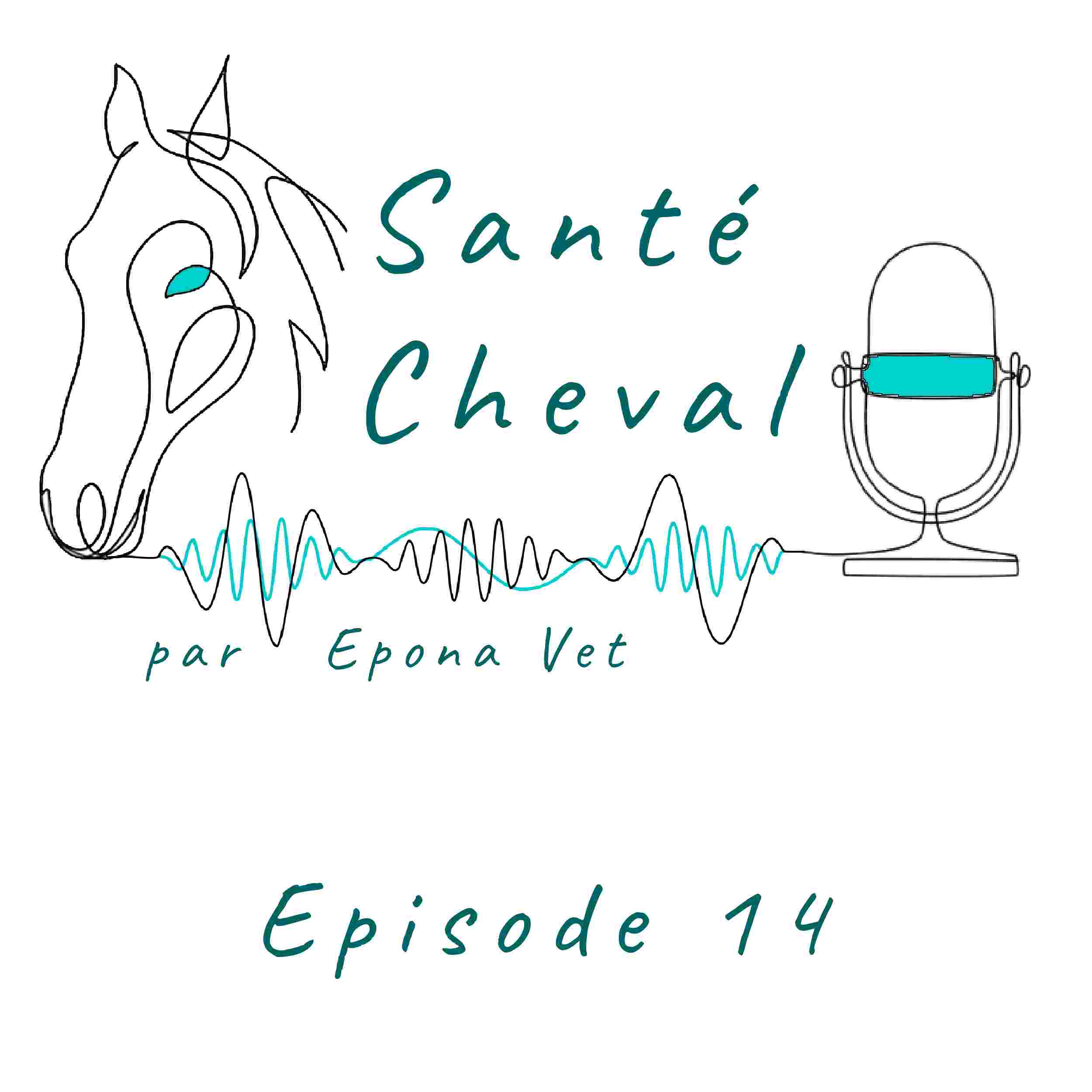 https://eponavet.fr/wp-content/uploads/2022/10/Logo-sante-cheval-episode-14.jpg