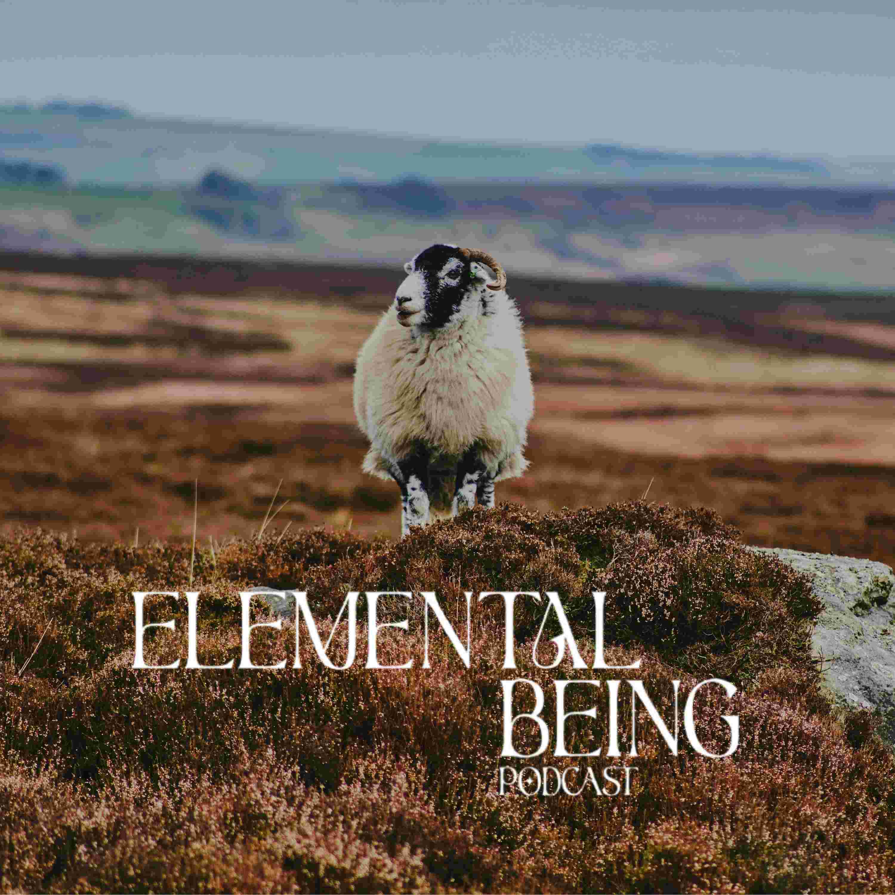 https://feeds.podcastle.ai/170670d9-b82d-4e68-bac4-2fe2b0cb24c9/elemental-being-podcast-4-jpg.jpeg