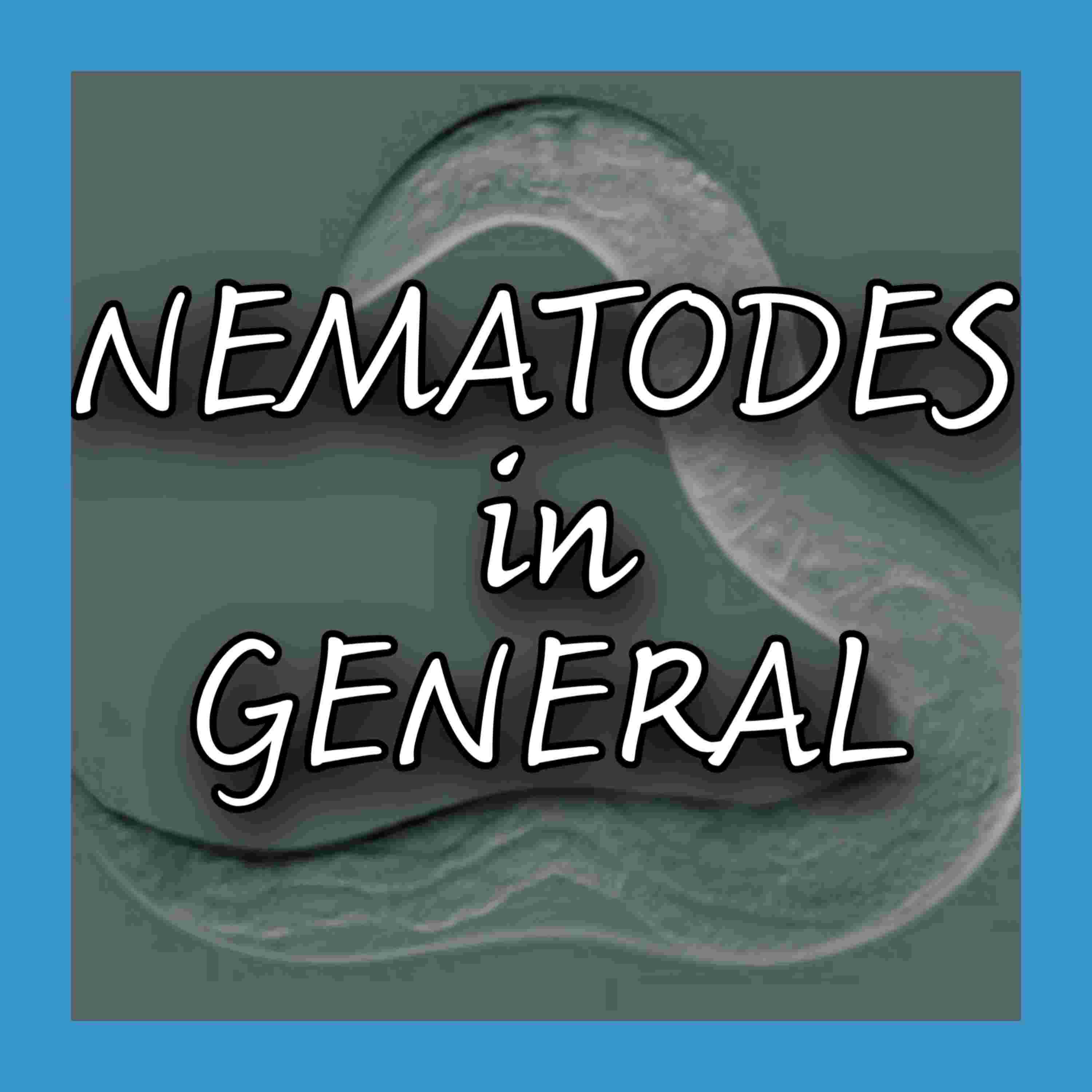 https://files.hubhopper.com/podcast/403943/episode/31157059/nematodes-in-general.jpg