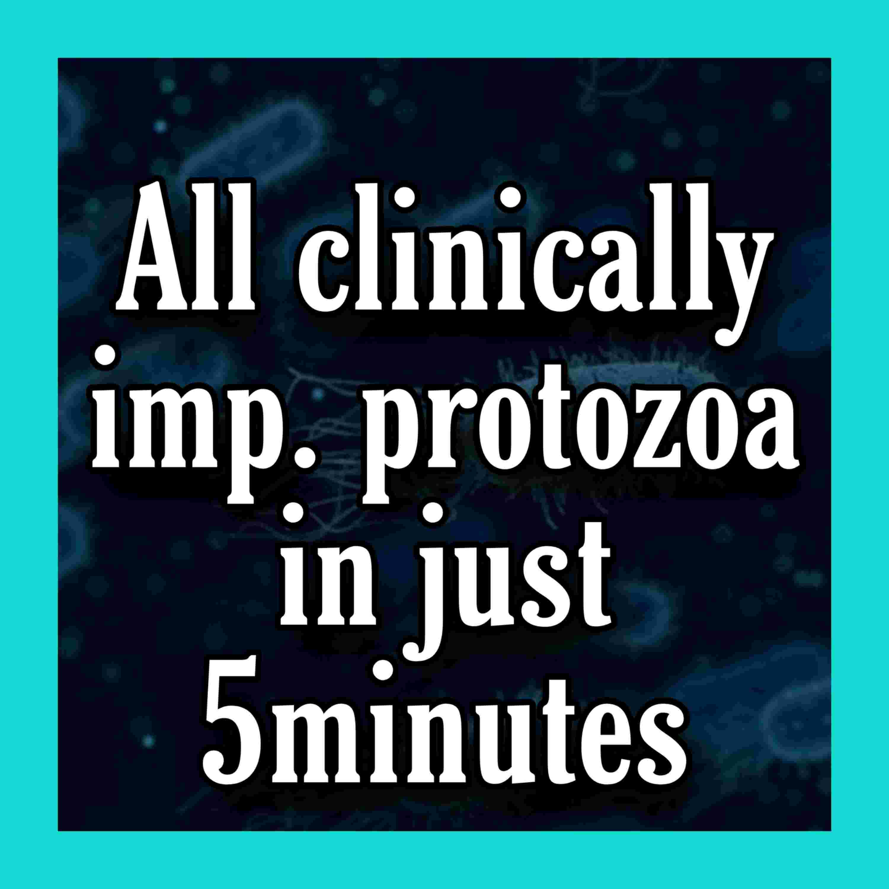 https://files.hubhopper.com/podcast/403943/episode/31157066/trick-to-remember-all-protozoans.jpg