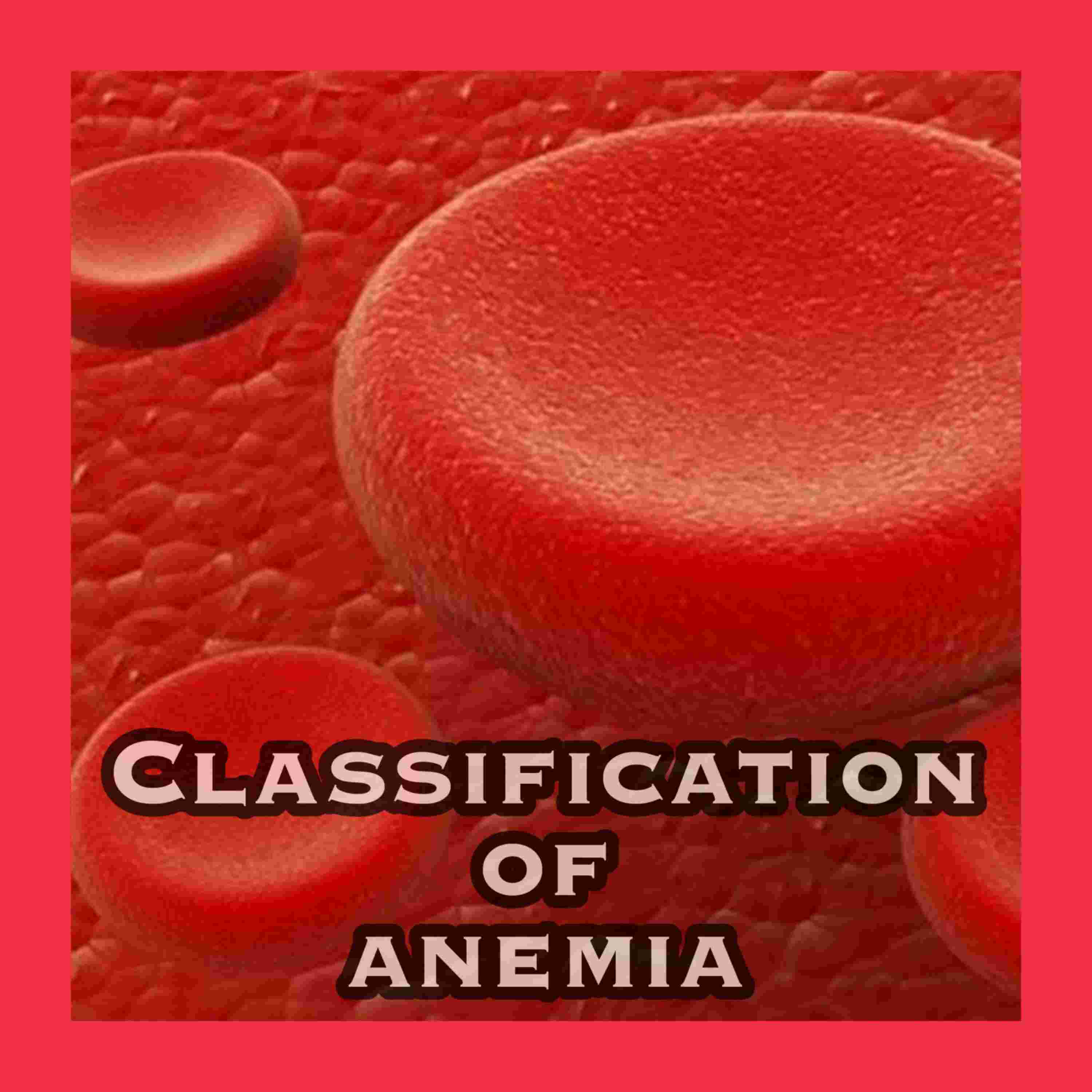 https://files.hubhopper.com/podcast/403943/episode/31157067/classifications-of-anemia.jpg