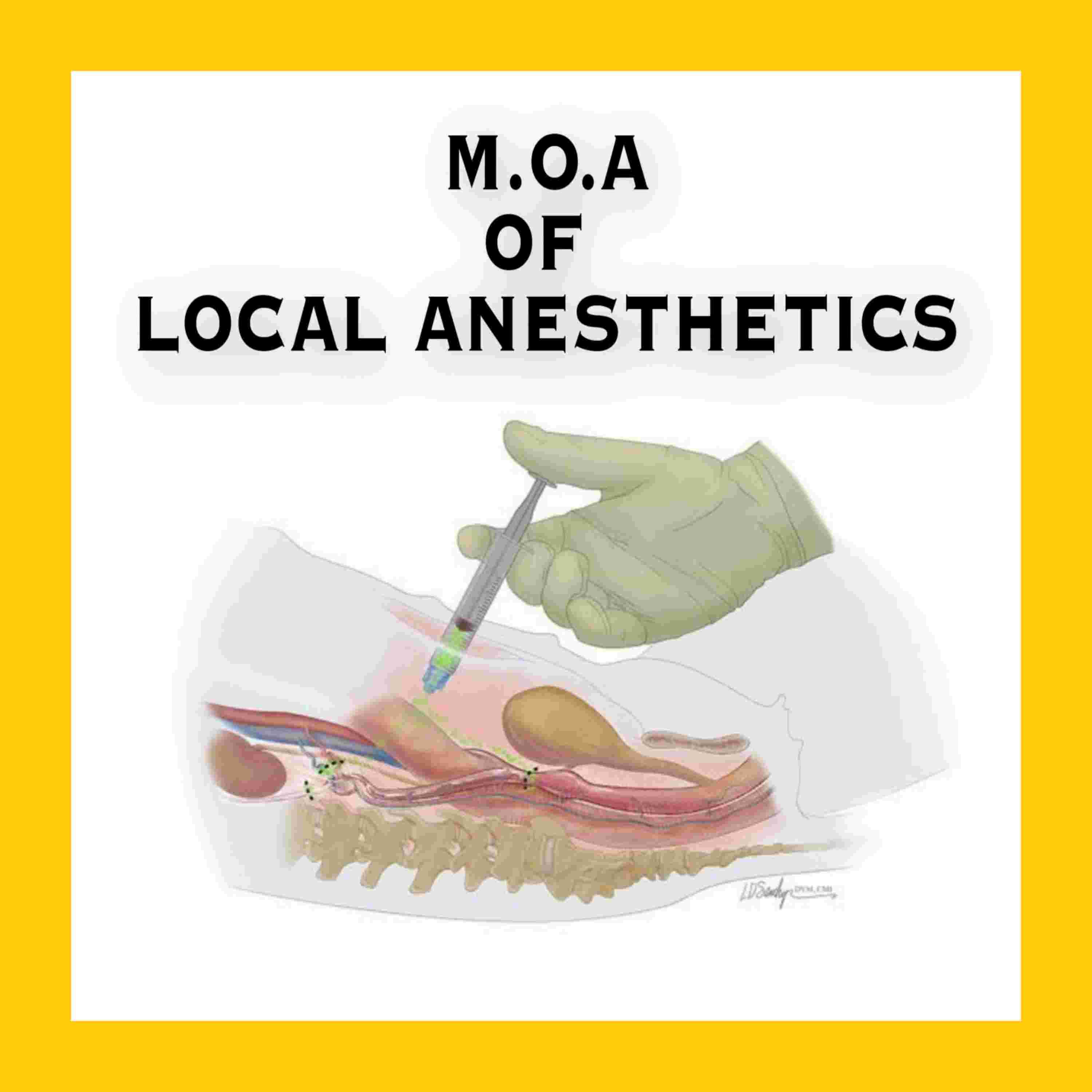 https://files.hubhopper.com/podcast/403943/episode/31157068/moa-local-anesthetics.jpg