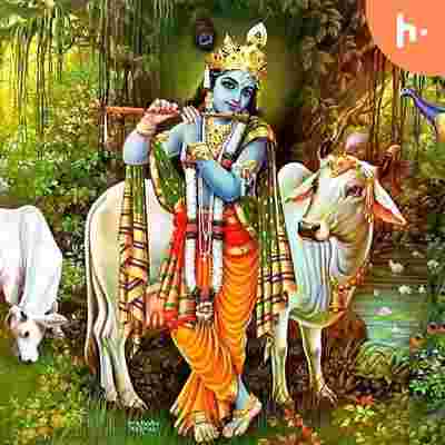 https://files.hubhopper.com/podcast/415936/krishna-leela.jpeg