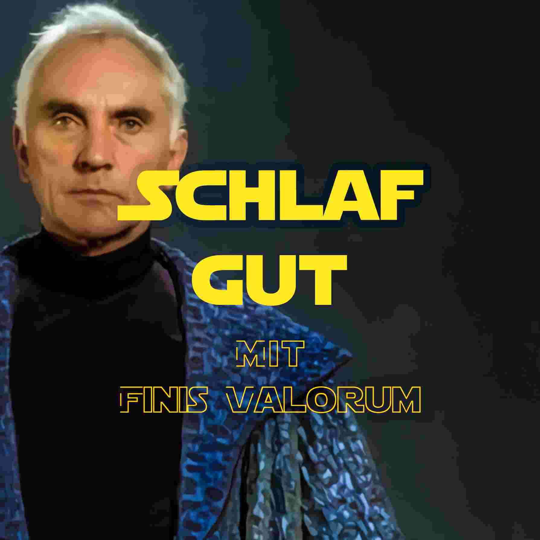 https://files.pdcstrcdn.de/u/m9hzj6/i/363317/f/Schlaf_gut_mit_Finis_Valorum_IG.jpg
