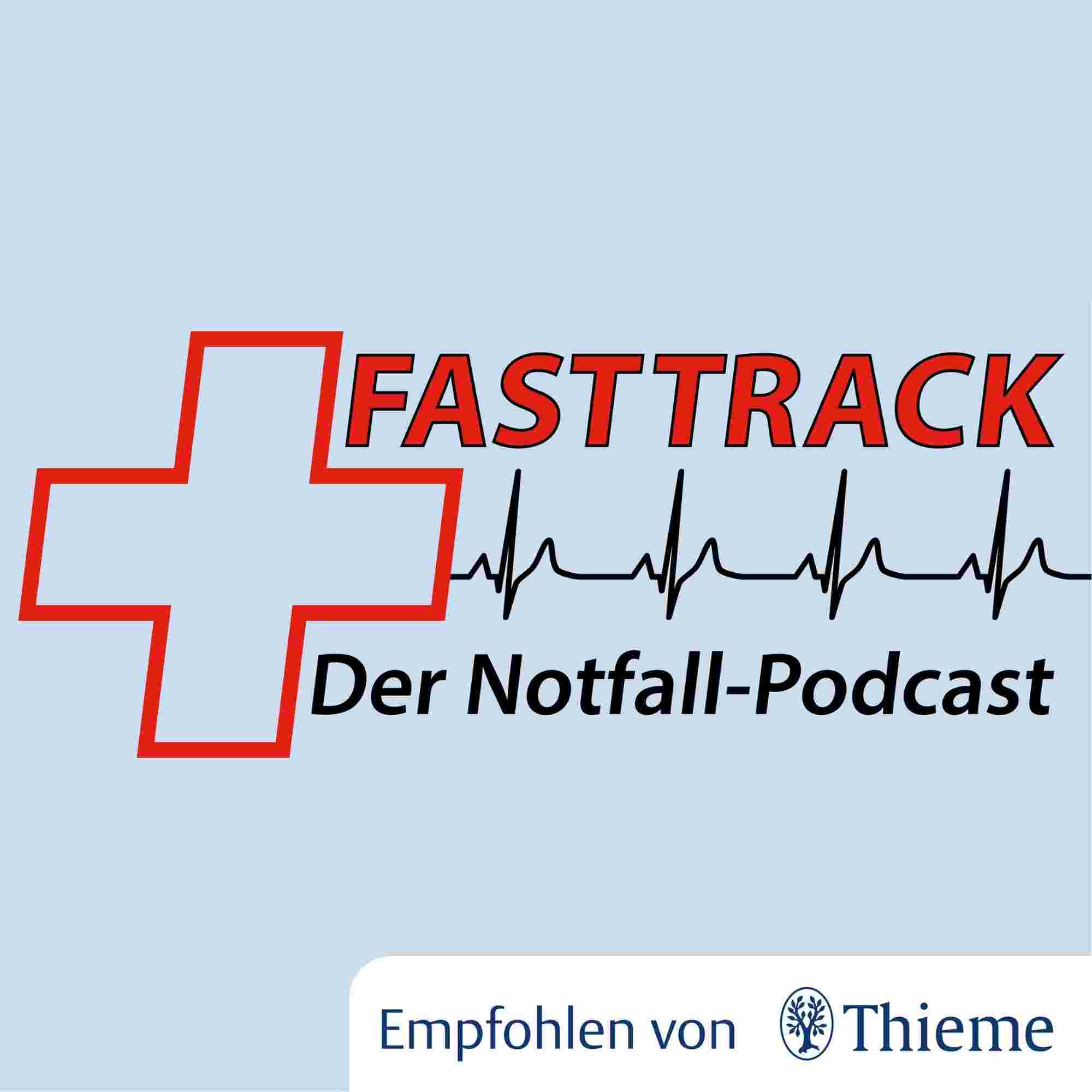 https://files.pdcstrcdn.de/u/u79gmq/i/795181/f/Fasttrack_Thieme_Logo(2).jpg