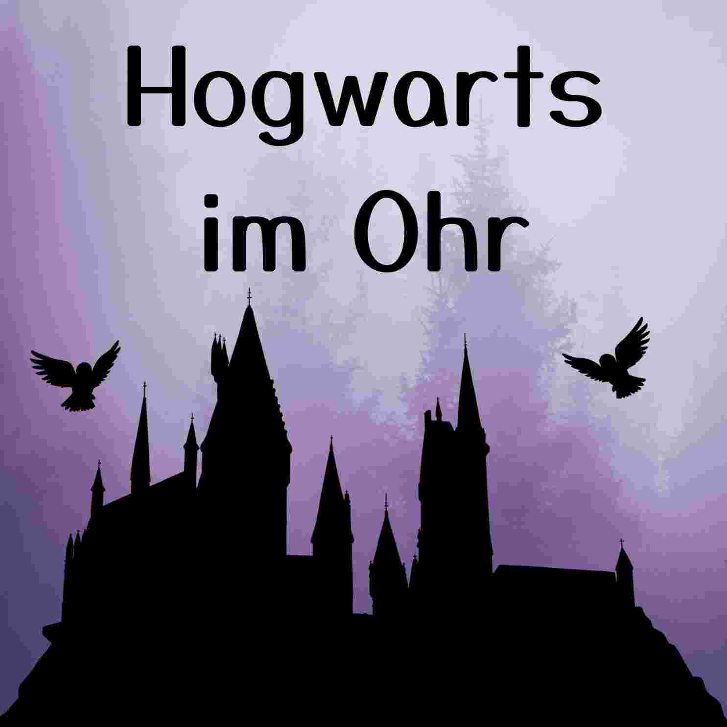 https://hogwartsimohr.podcaster.de/nicht-noch-ein-harry-potter-podcast/logos/Titelbild(3).jpg