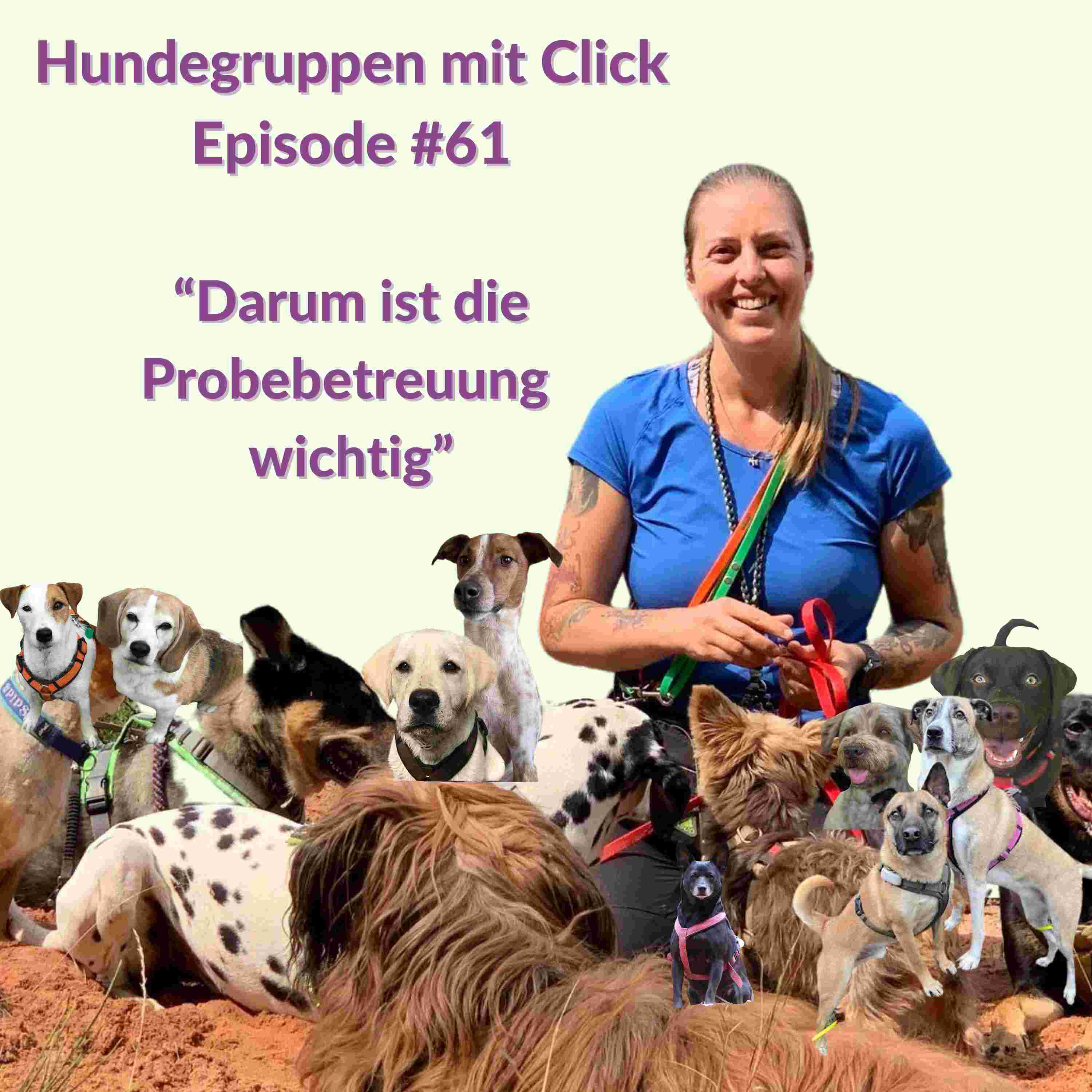 https://hunde.podcaster.de/hundegruppen-mit-click/logos/39.jpg