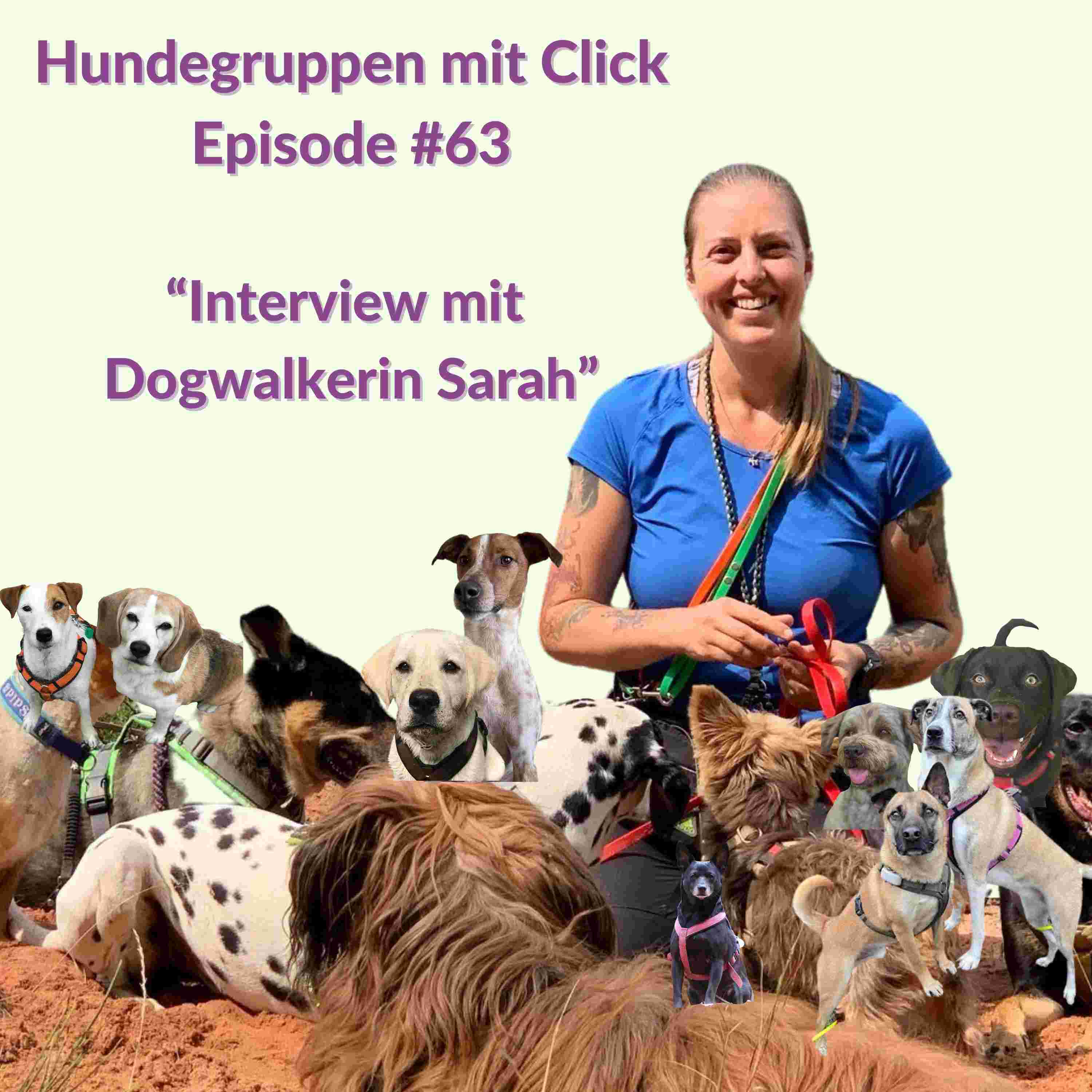 https://hunde.podcaster.de/hundegruppen-mit-click/logos/41.jpg