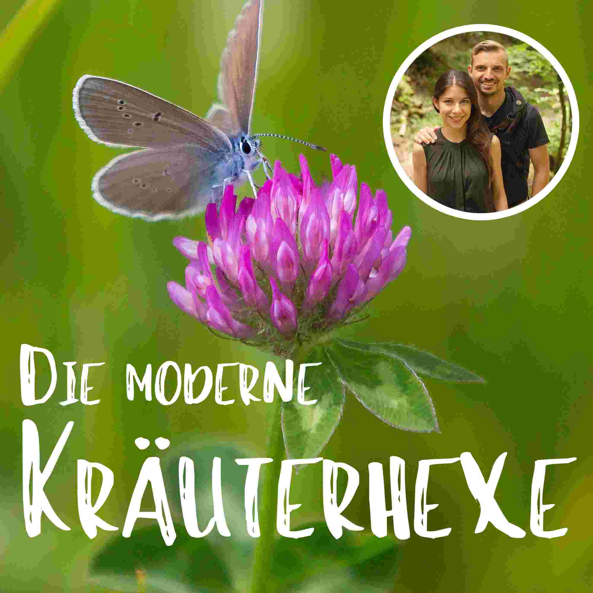 https://jmgxi5.podcaster.de/kraeuterkeller/logos/titel-die-moderne-kraeuterhexe.jpg