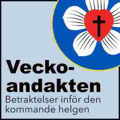 https://kyrkligaforbundet.se/wp-content/uploads/Veckoandakt-icon.jpg