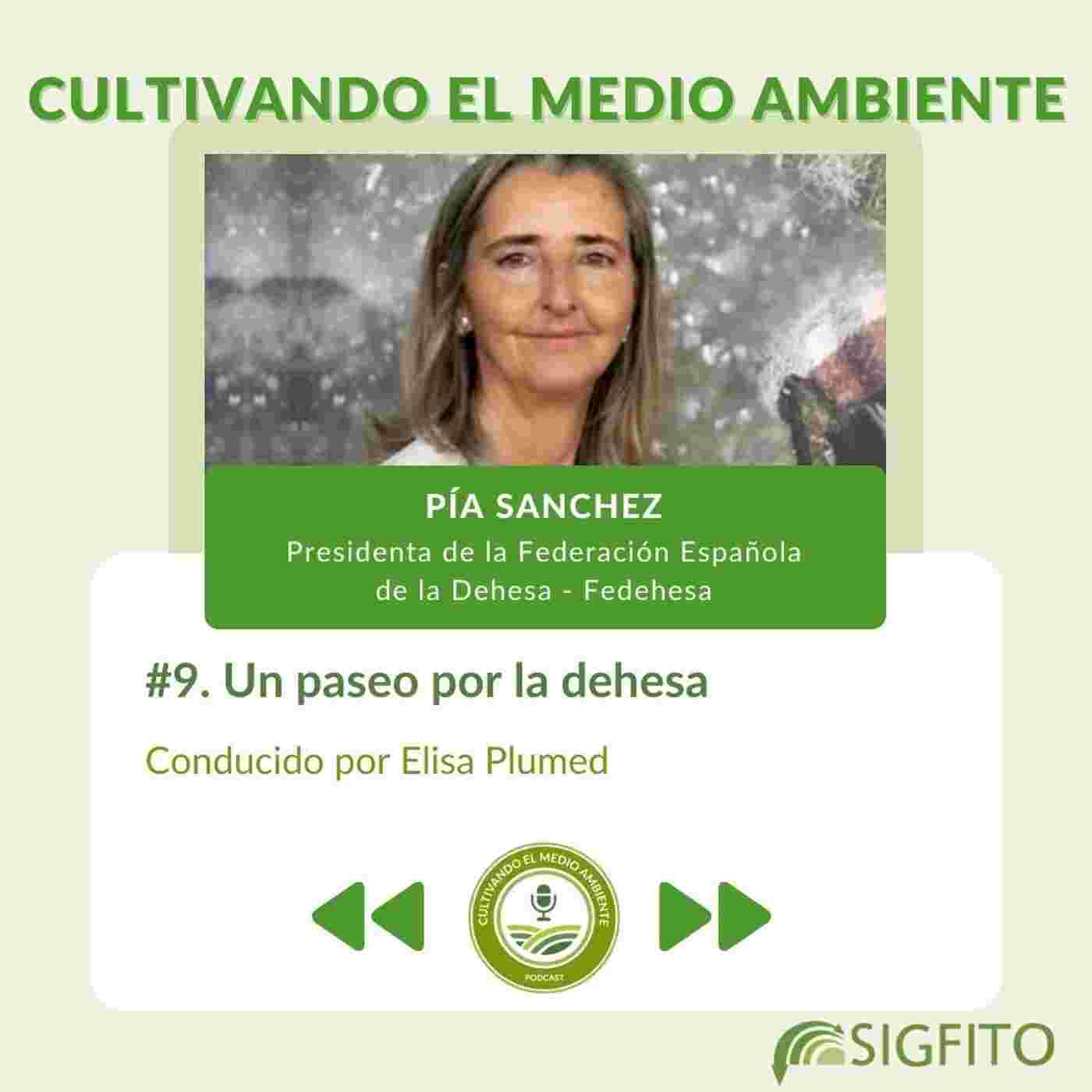https://media.rss.com/cultivando-el-medio-ambiente/cover_3dca466802b72e560266c859b320fc34.jpg