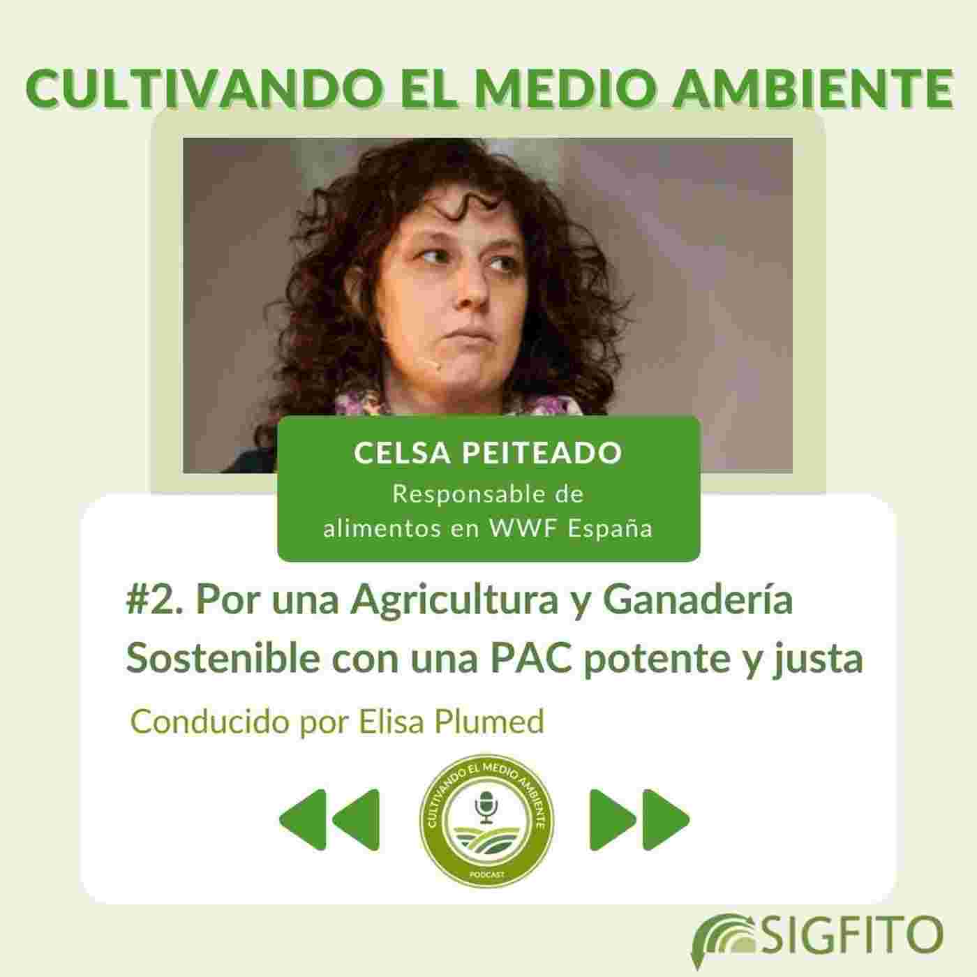 https://media.rss.com/cultivando-el-medio-ambiente/cover_ac71f56b138c67ba2cbbcade093ffcac.jpg