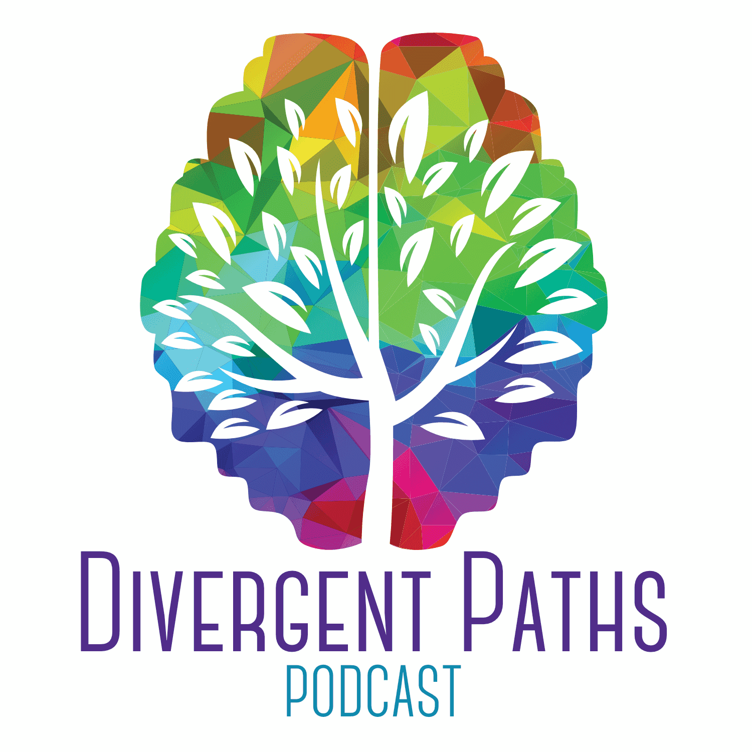 https://media.rss.com/divergent-paths/ep_cover_20250718_030720_646bf86d986378cf68b77ed760410001.png