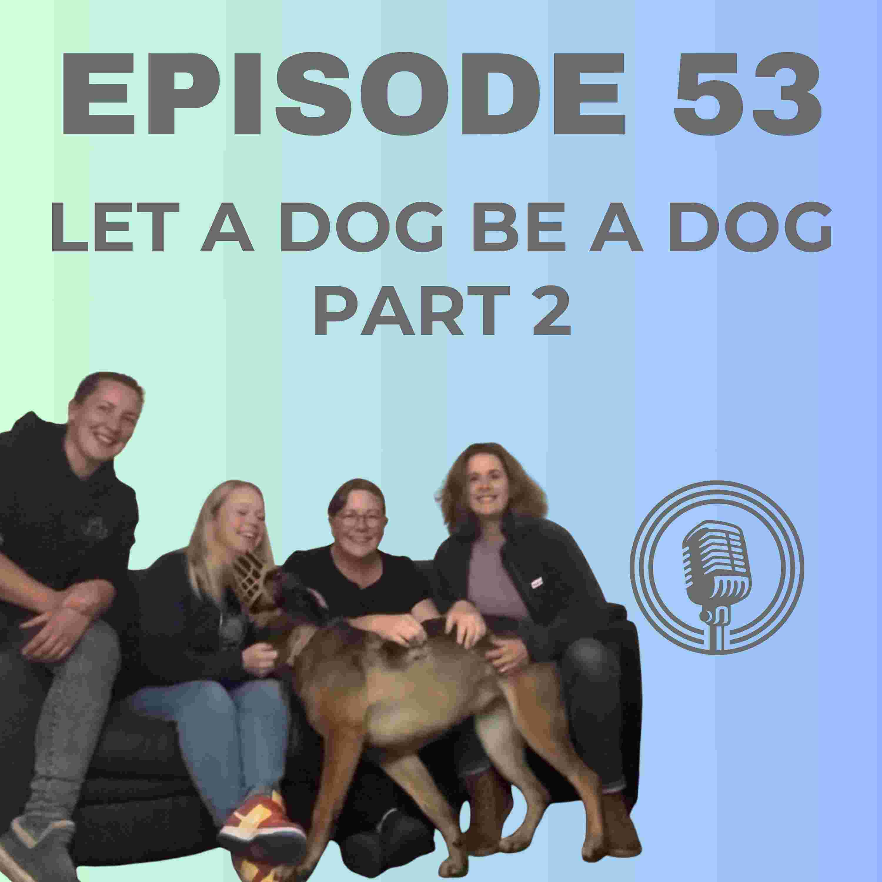 https://media.rss.com/doggonewrong/ep_cover_20251103_041147_8d5d52406a1e10c68d54fee00a8d5d70.jpg