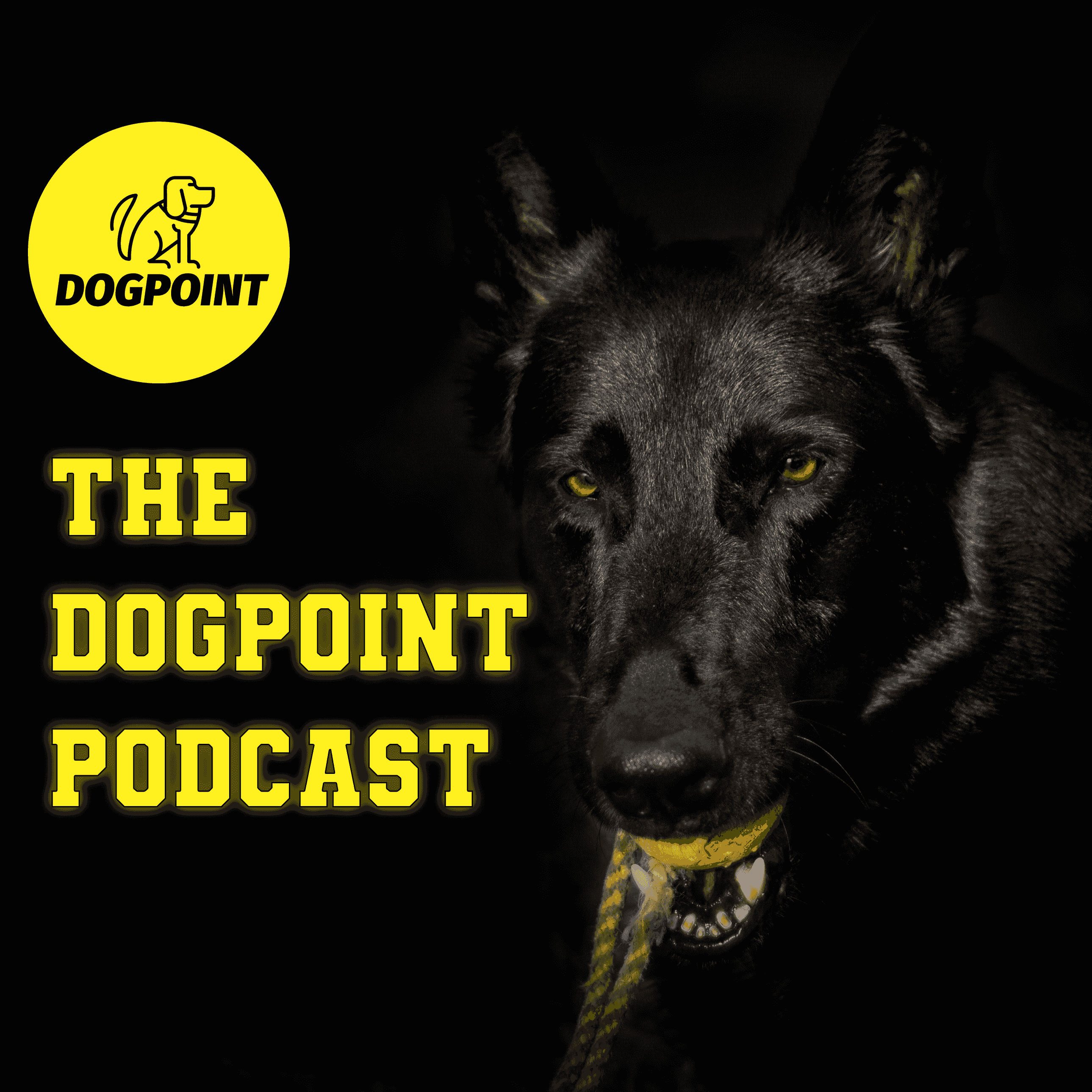 https://media.rss.com/dogpoint/ep_cover_20241024_061013_13c8cb99b2b1defffaf9fb5b1eedb155.png