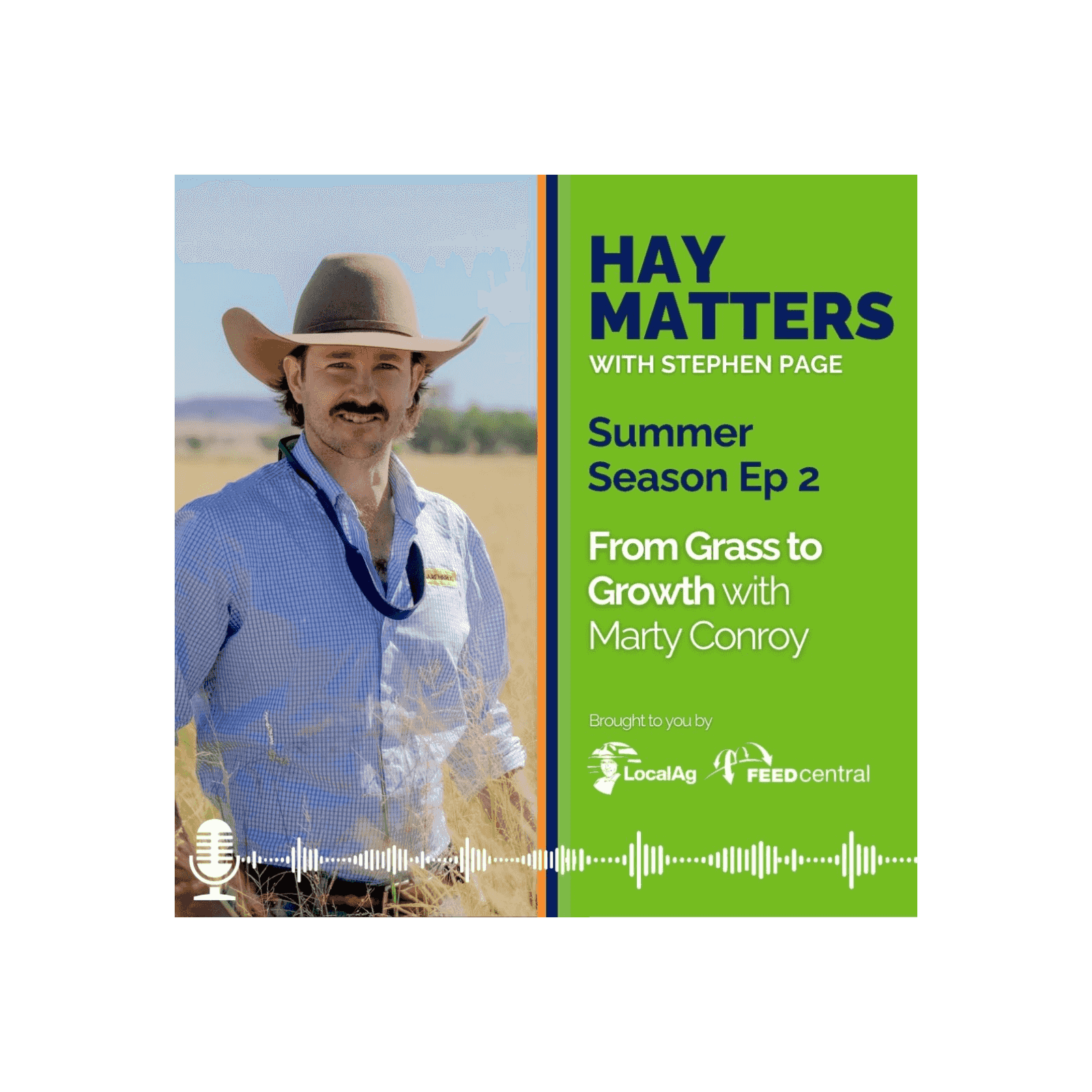 https://media.rss.com/haymatters/ep_cover_20251218_061239_66e5fd2c999e860e3c90b90081a4eb59.png